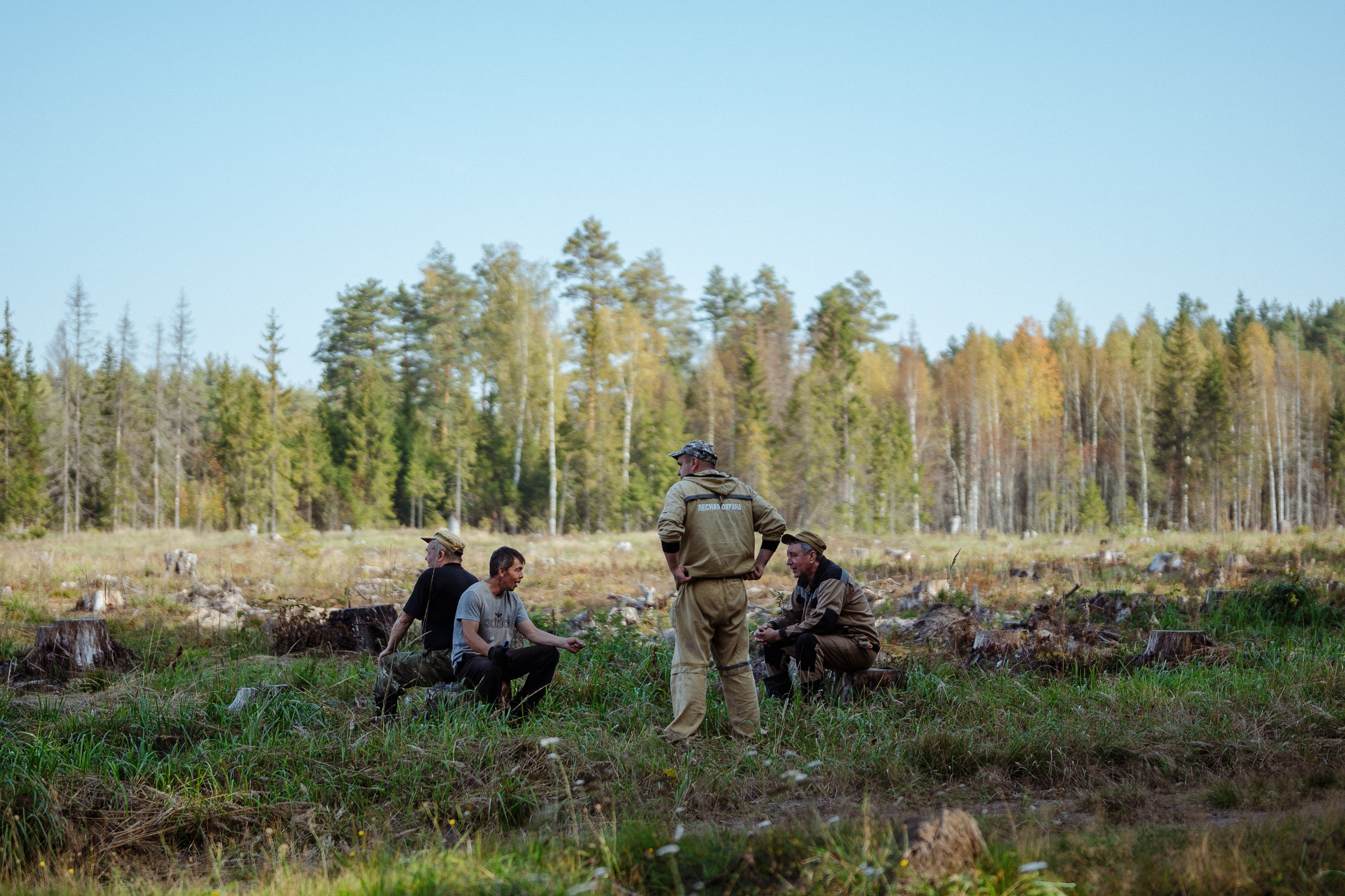 СБЕР · ЭКА · Посадка сеянцев. Владимир Вершинин, тот самый свадебный видеограф