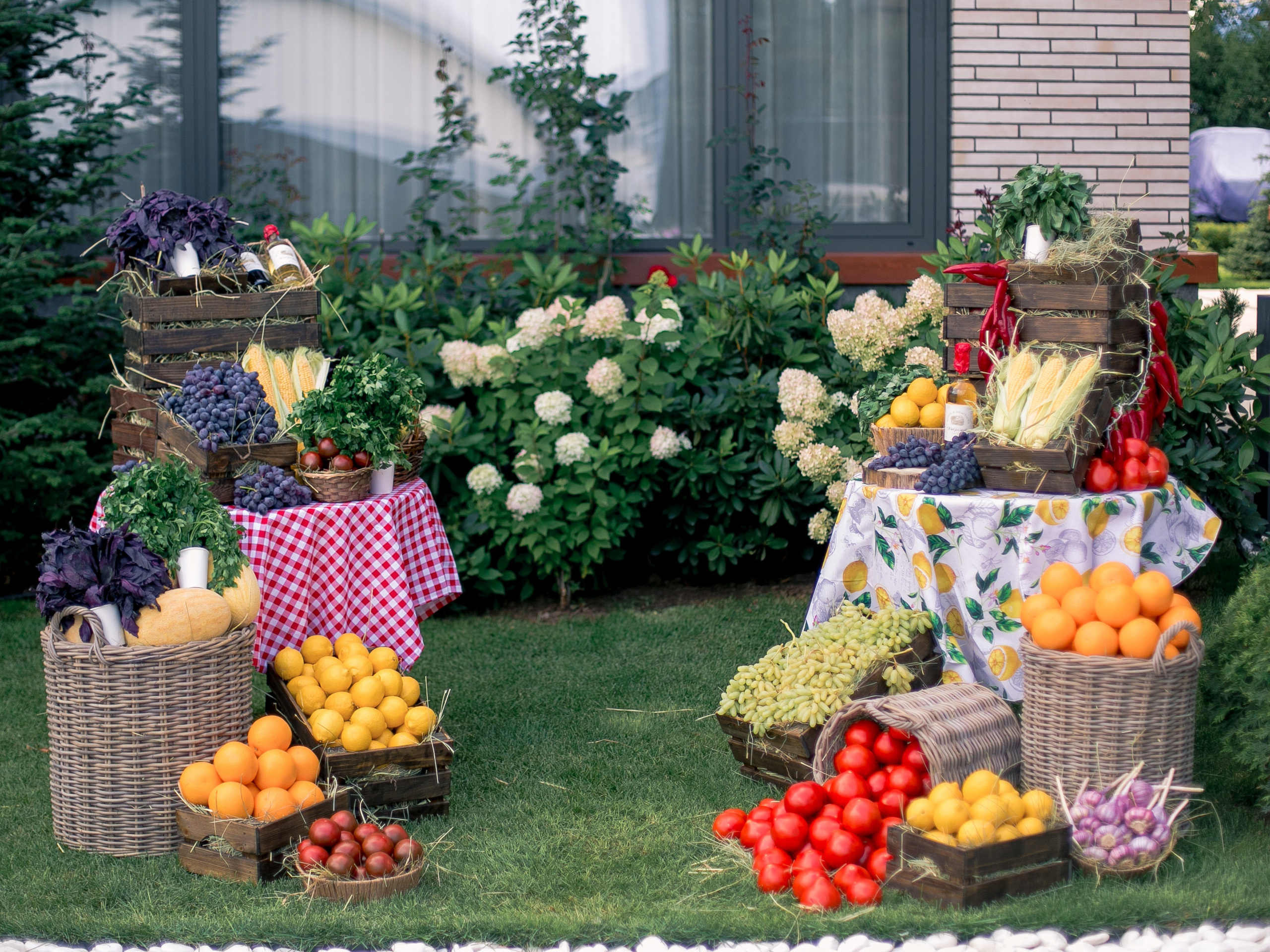 Новоселье. Репортажный фотограф Борис Геер