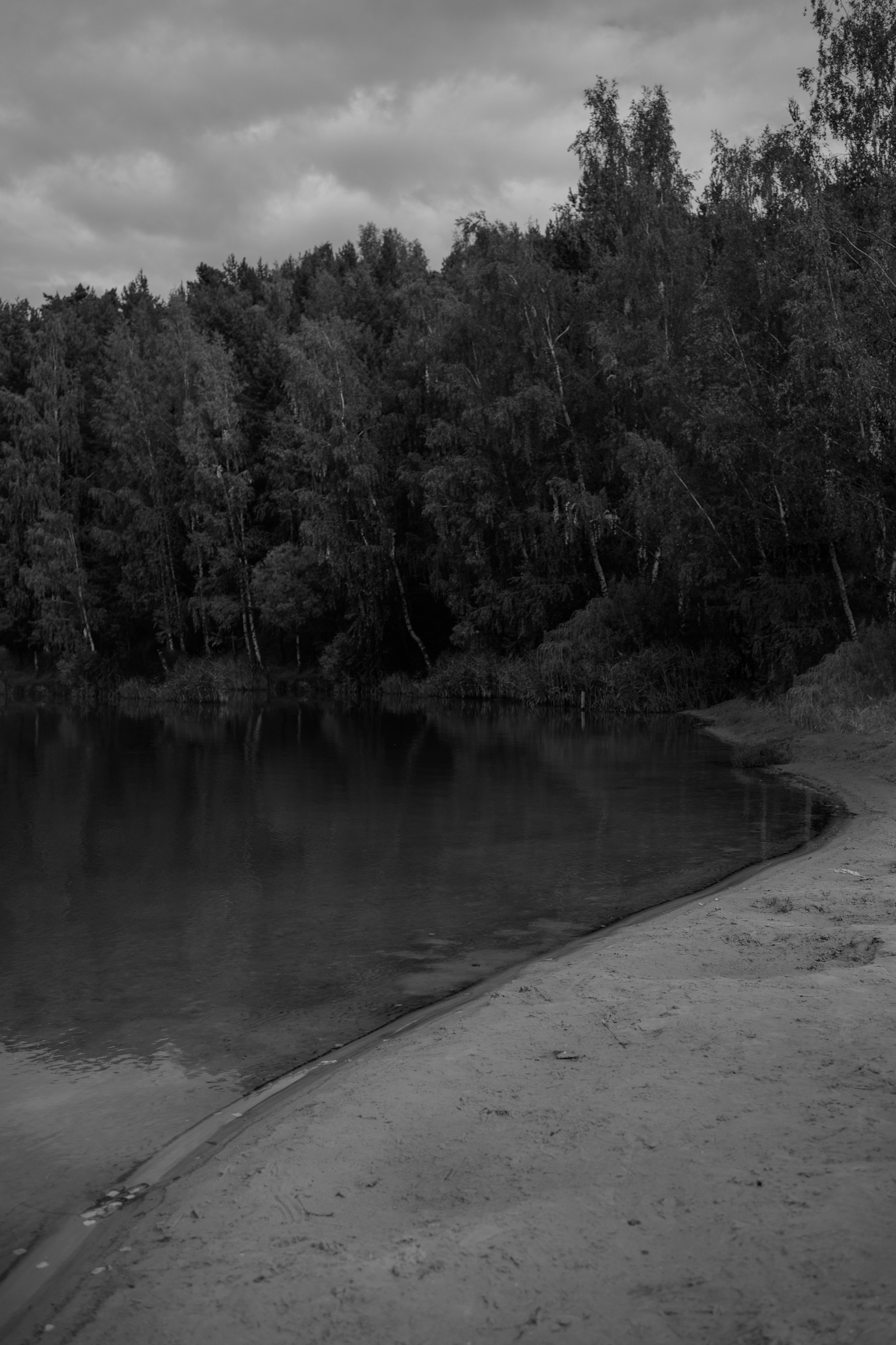 Пляж. Оформление свадеб, декор свадеб Вера Маркова, Москва