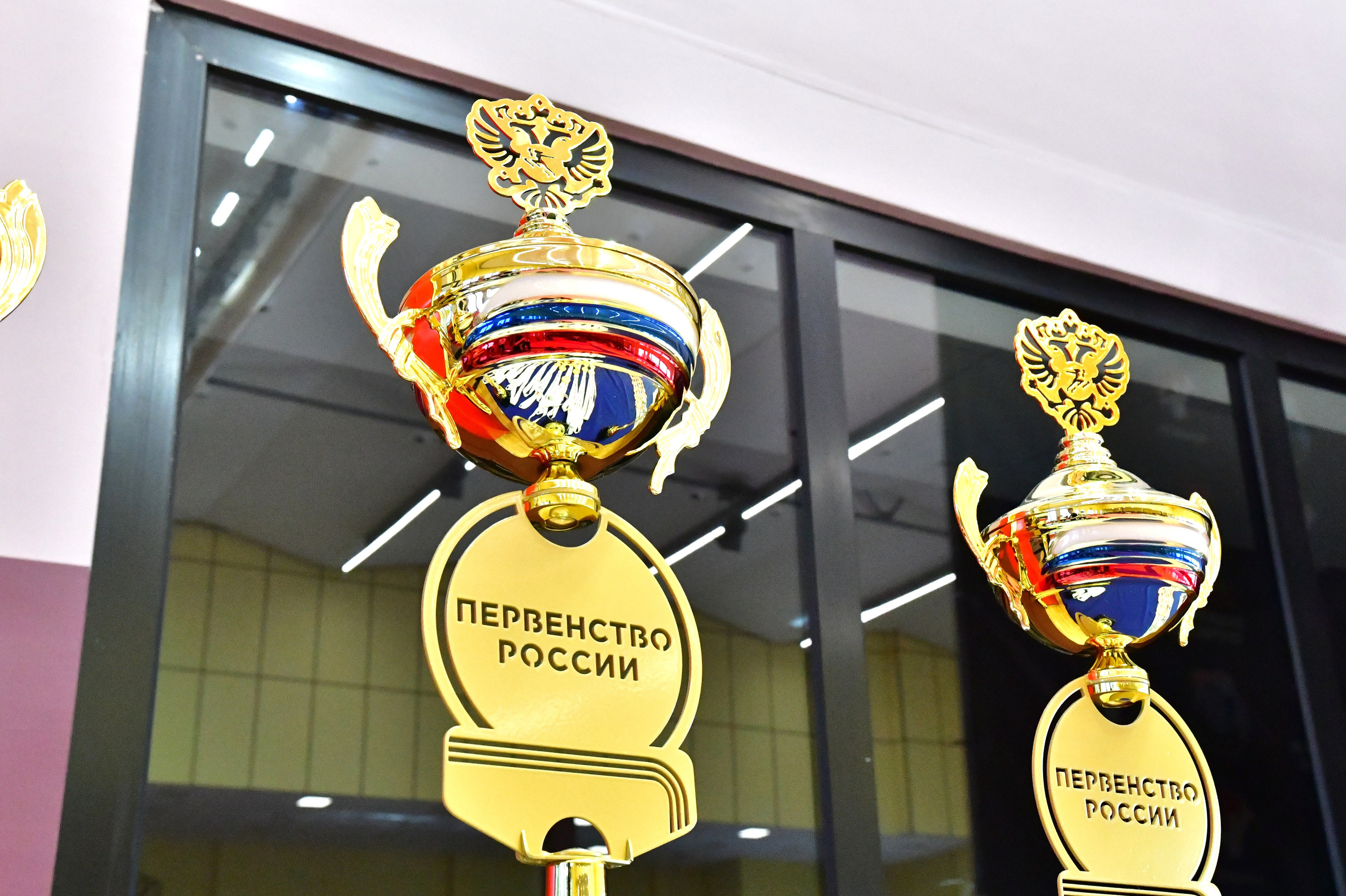 АРБ. Первенство России по абсолютно реальному бою. Фото детских спортивных мероприятий и всякое интересное через объектив