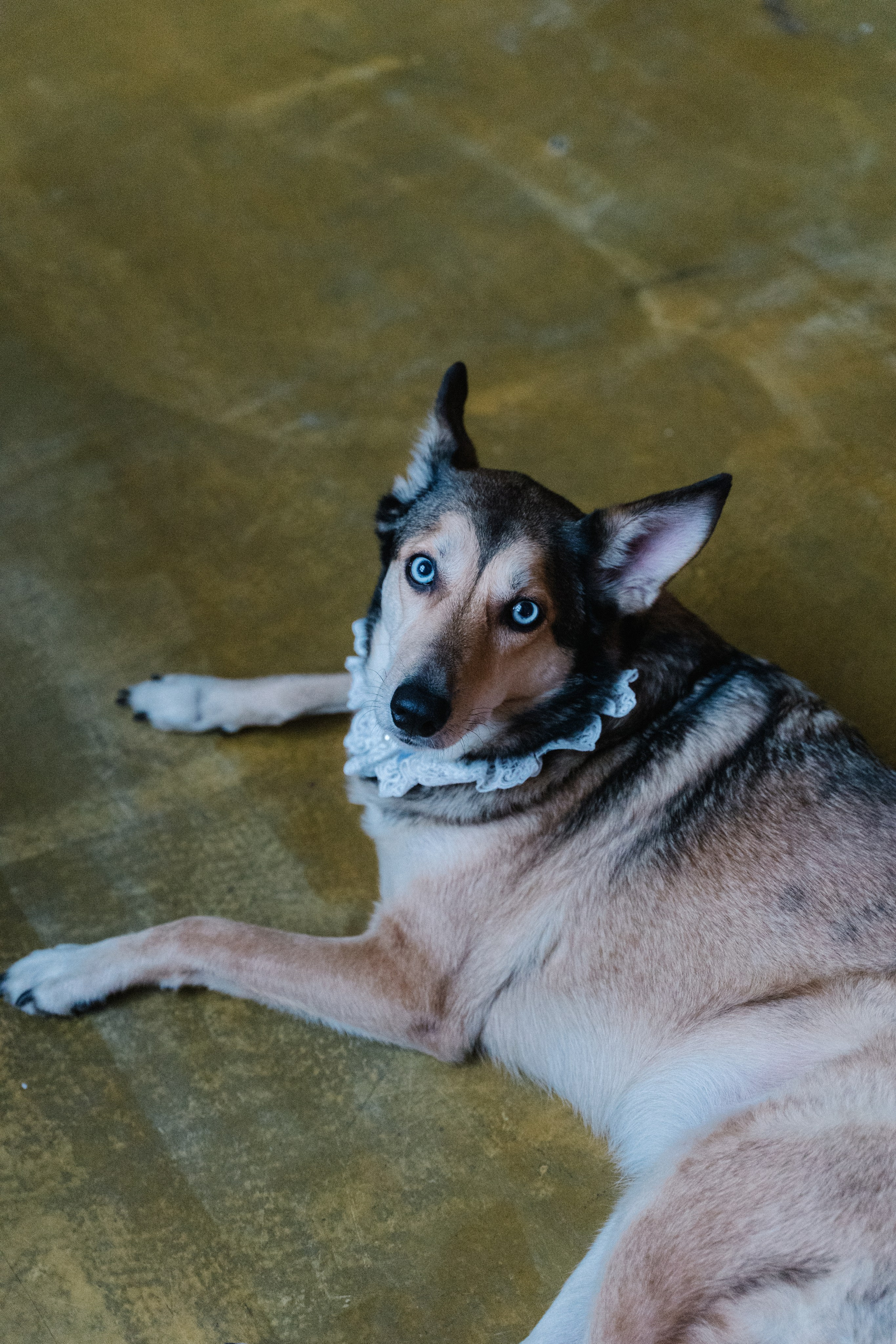 Туяра и Денис. Главная