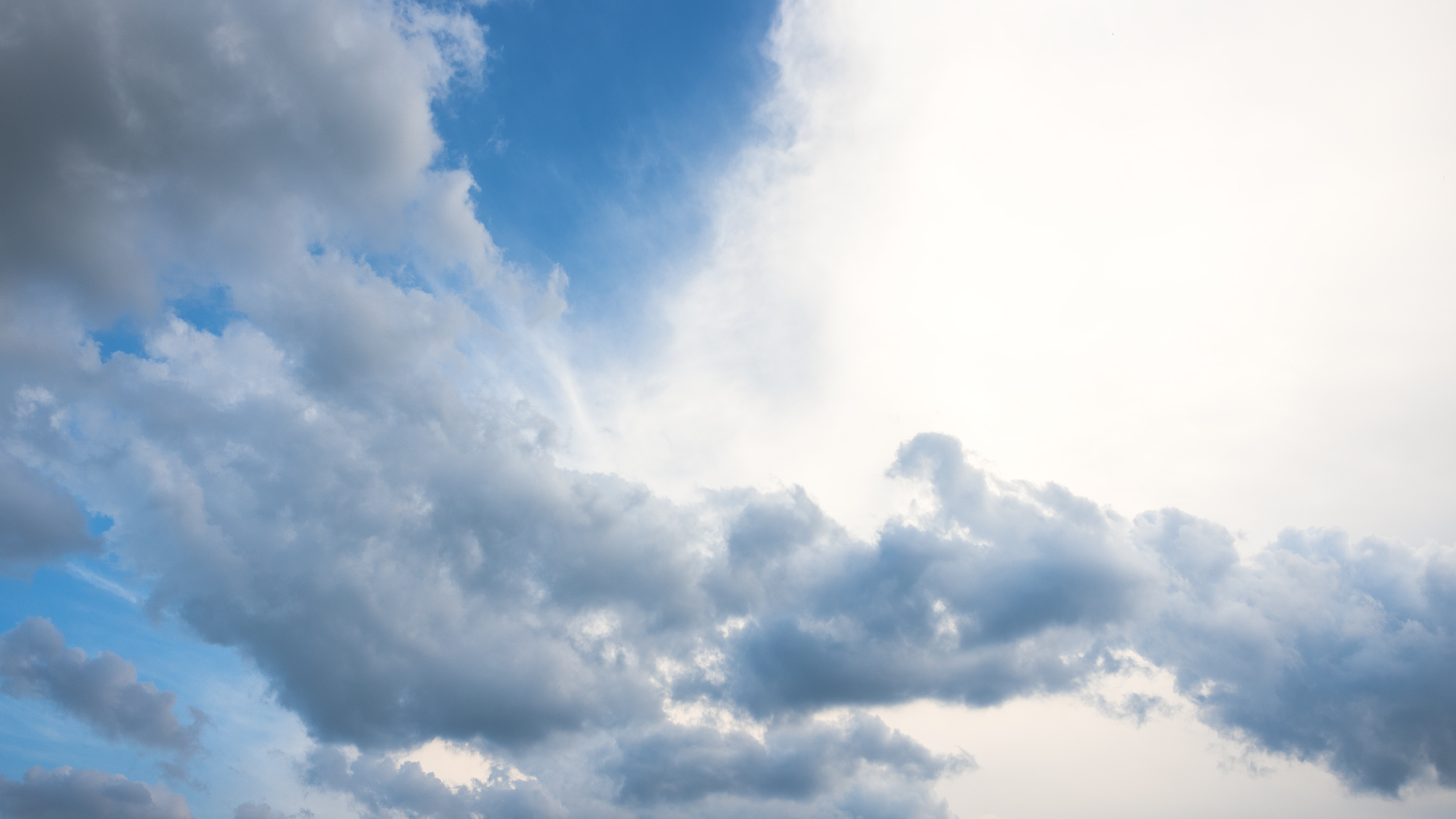 Небо видело всё. Komonev