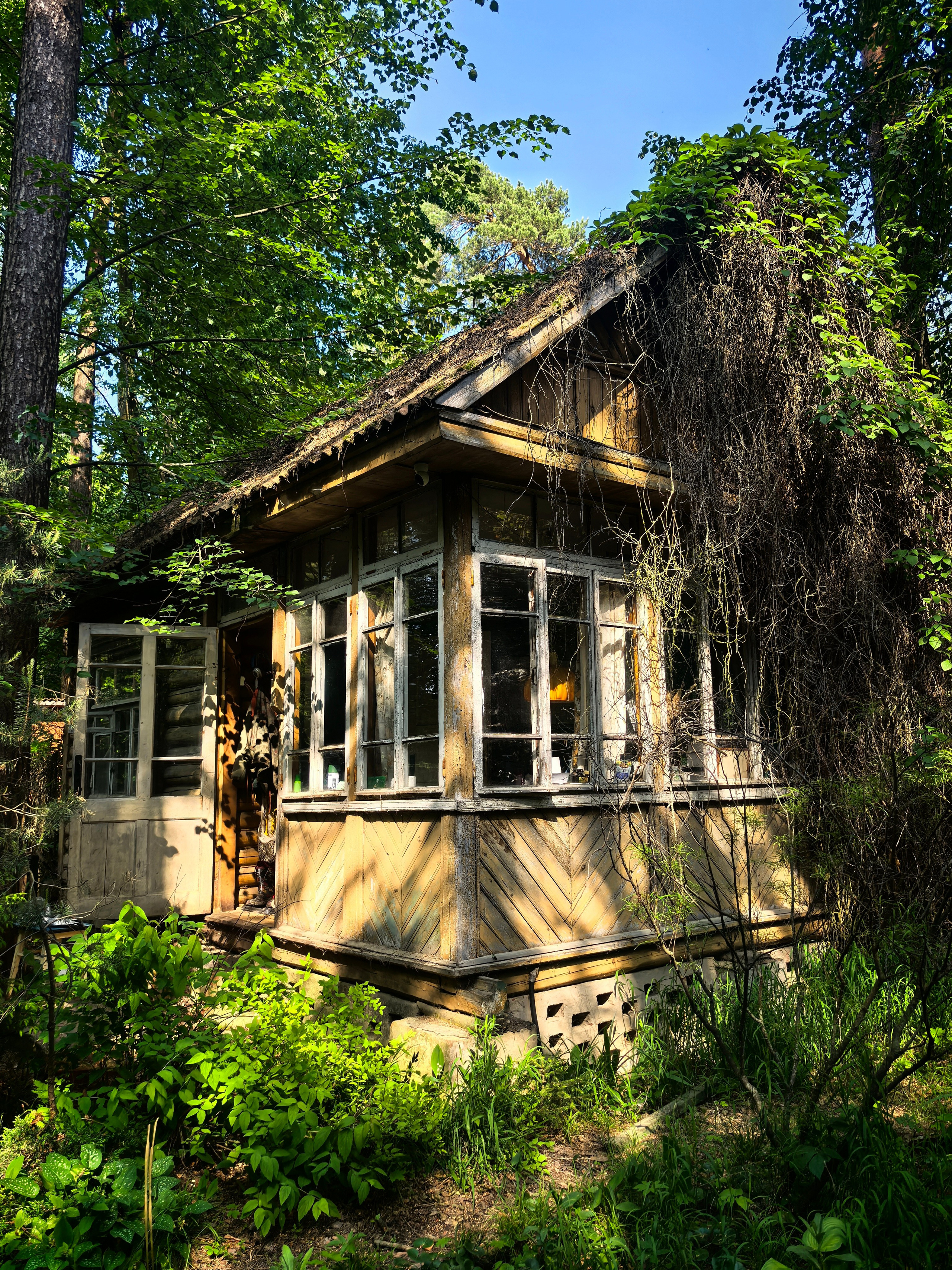 Ваши фотографии. Фотограф анималист Осипчикова Мария