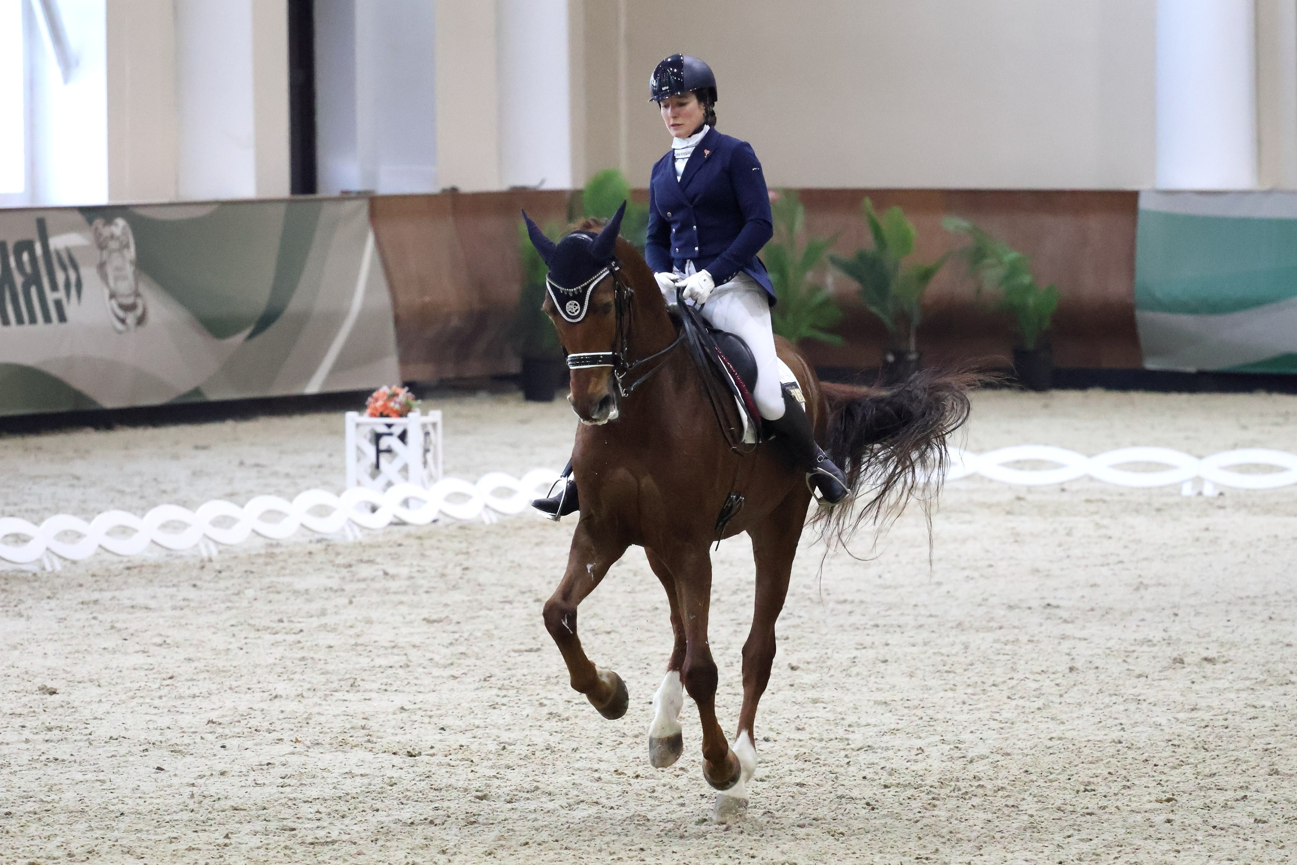 Соревнования по выездке КСК «Виват, Россия!». Спортивный и репортажный фотограф Ермакова Светлана