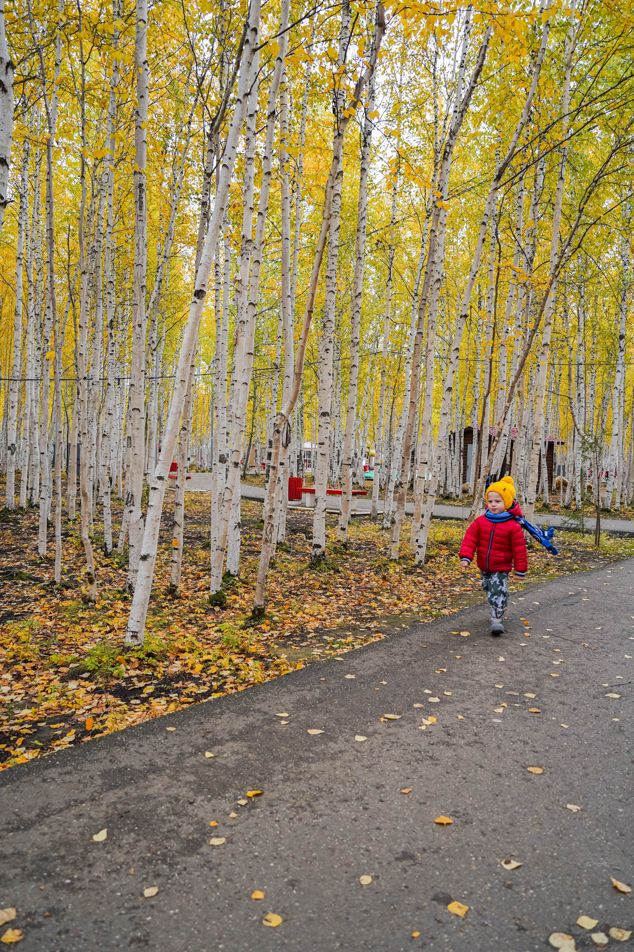 Прогулка. Алена Коломоец | Фотограф, Мирный, Якутия