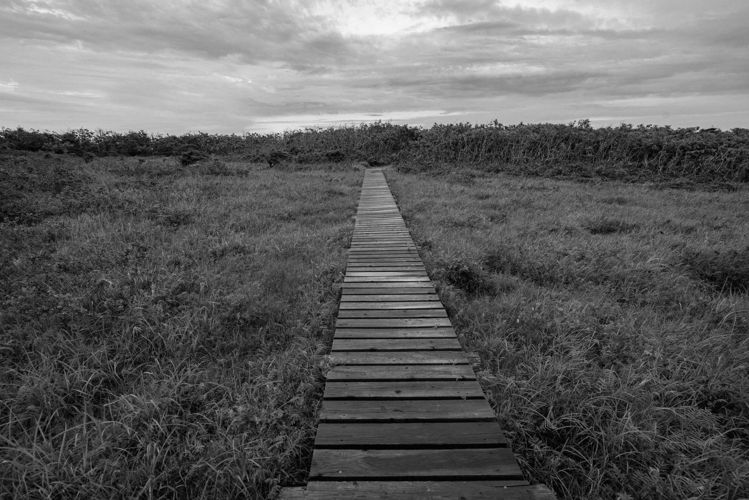 Фотопортреты с пониманием и осознанием образа. Сергей Гаврилов, фотограф