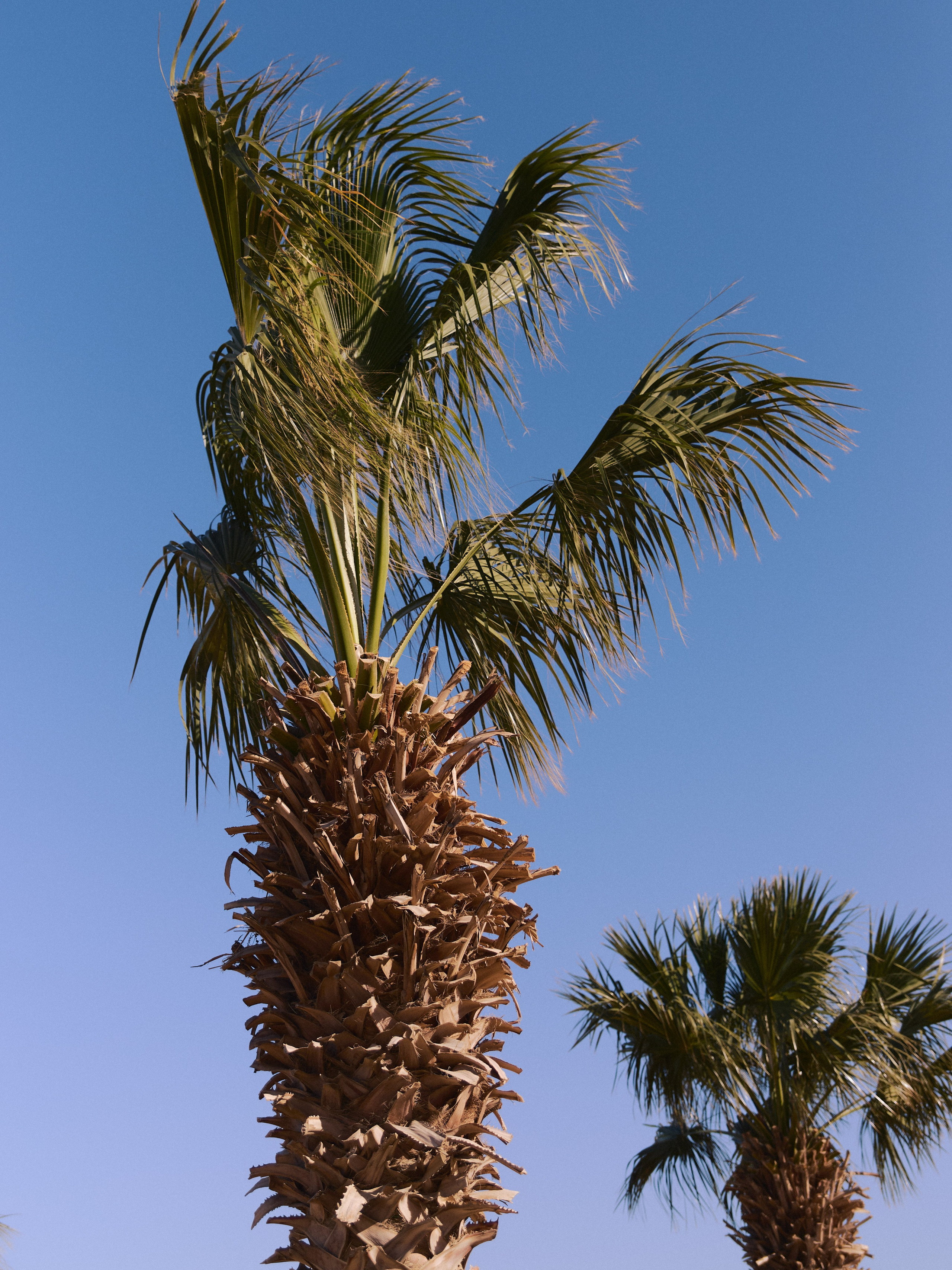 Природа. Jorgis Talè — photographer, kind person, teacher of arts and other mag