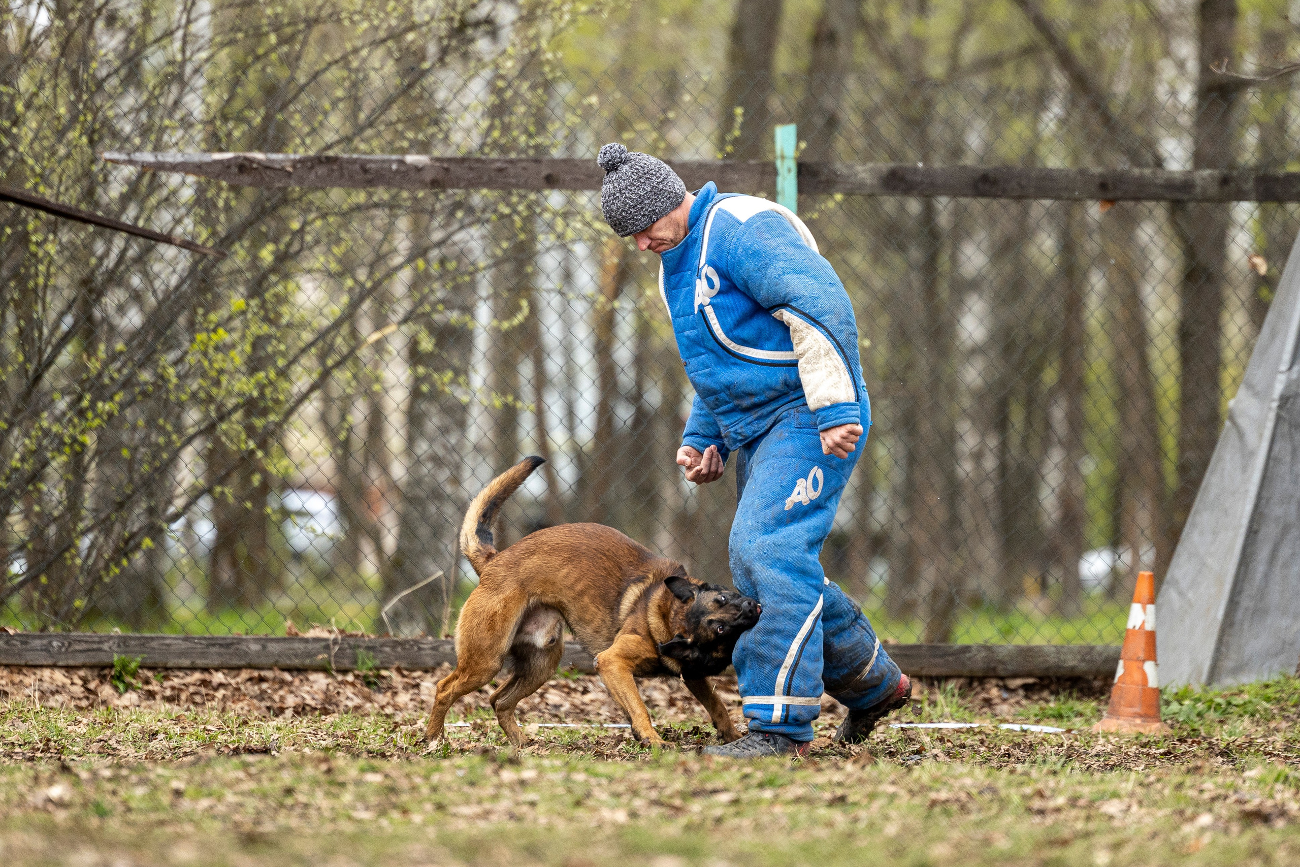 Квалификационные состязания по мондьорингу г. Вологда 11.05.24. Фотограф-анималист Анна Маринич
