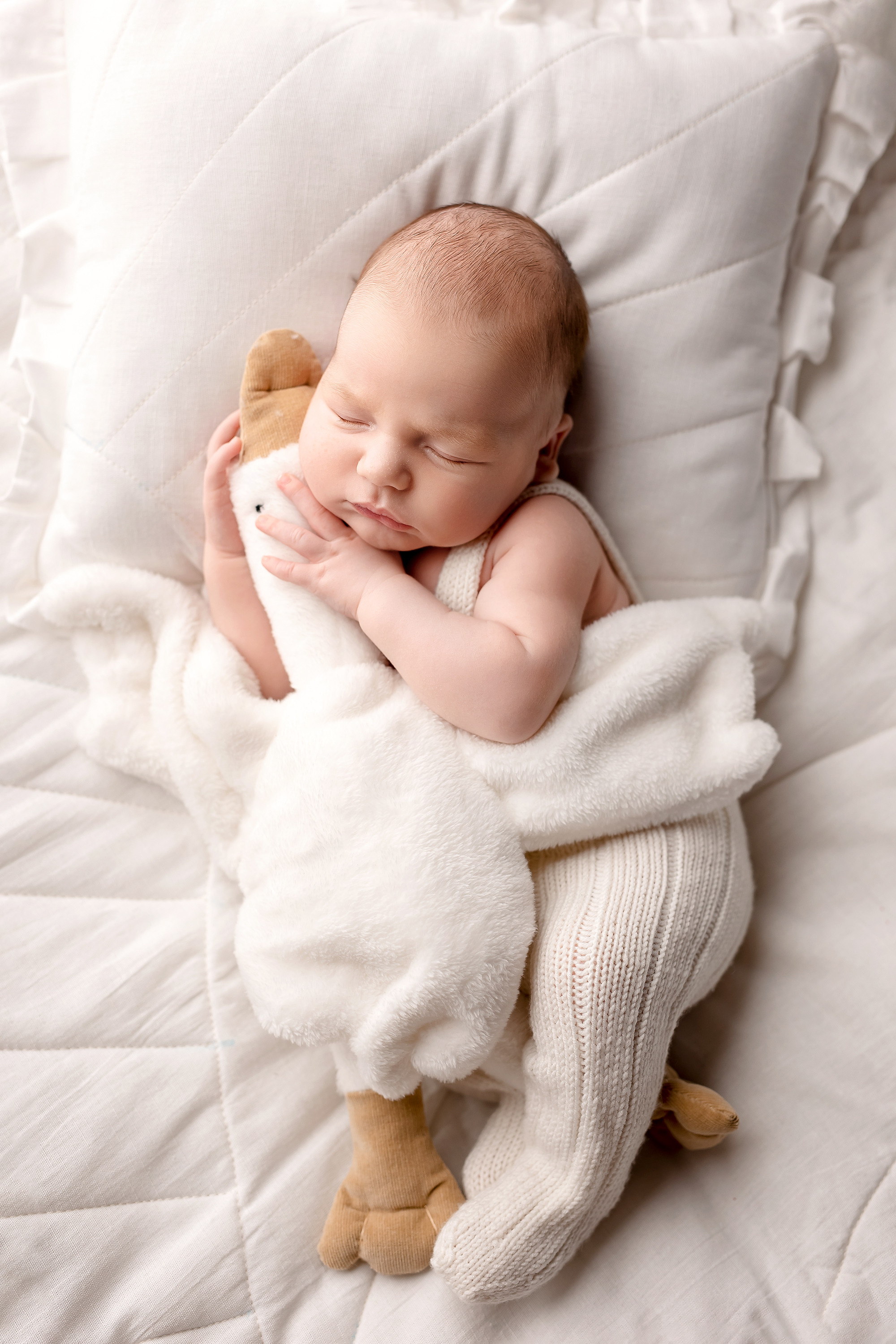 Новорожденные. Фотограф новорожденных