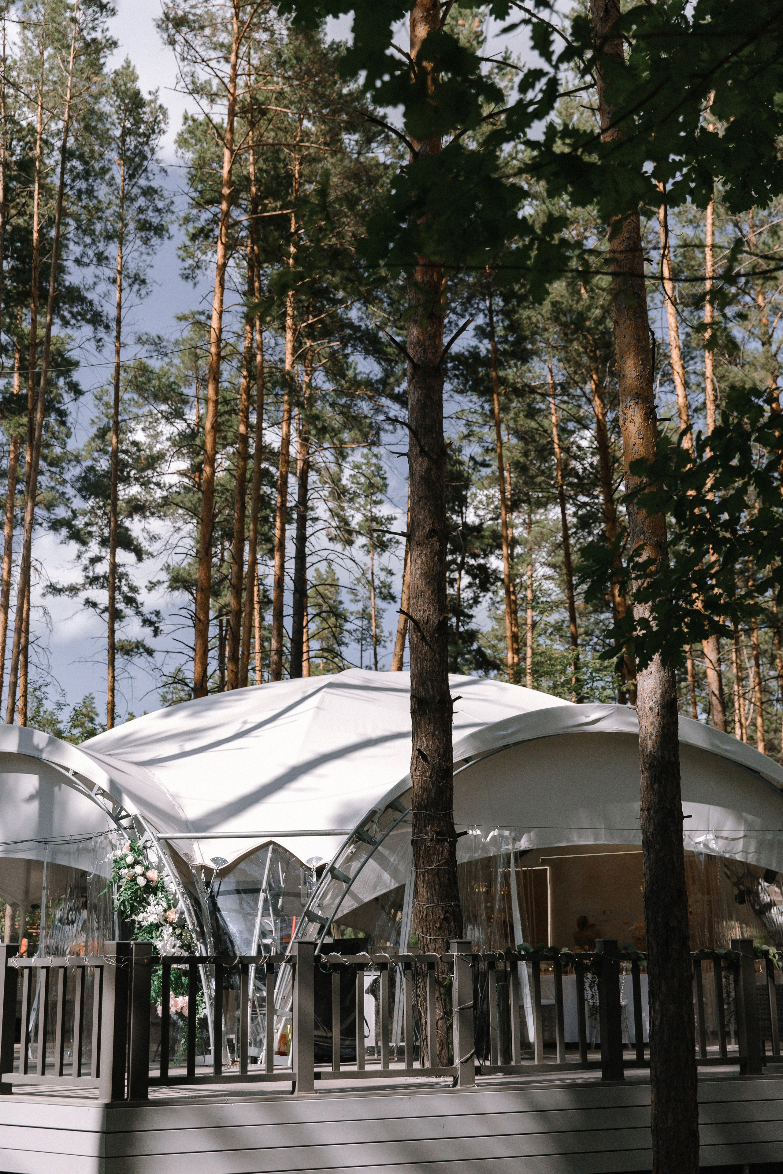 Красивая дата. Фотограф Елена Краснопевцева