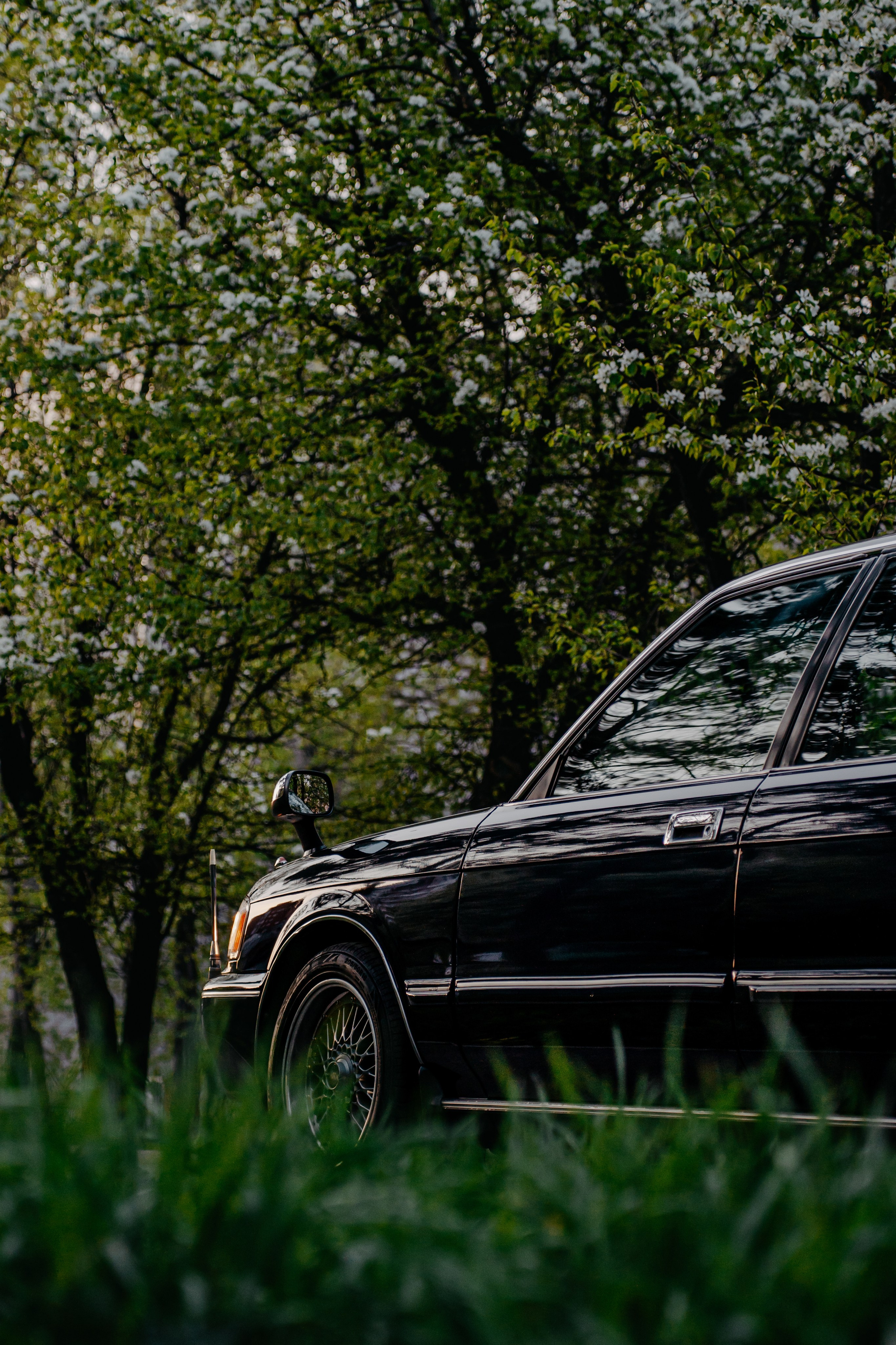 Toyota Crown 25'. Фотограф, видеограф и пилот дрона на Байкале