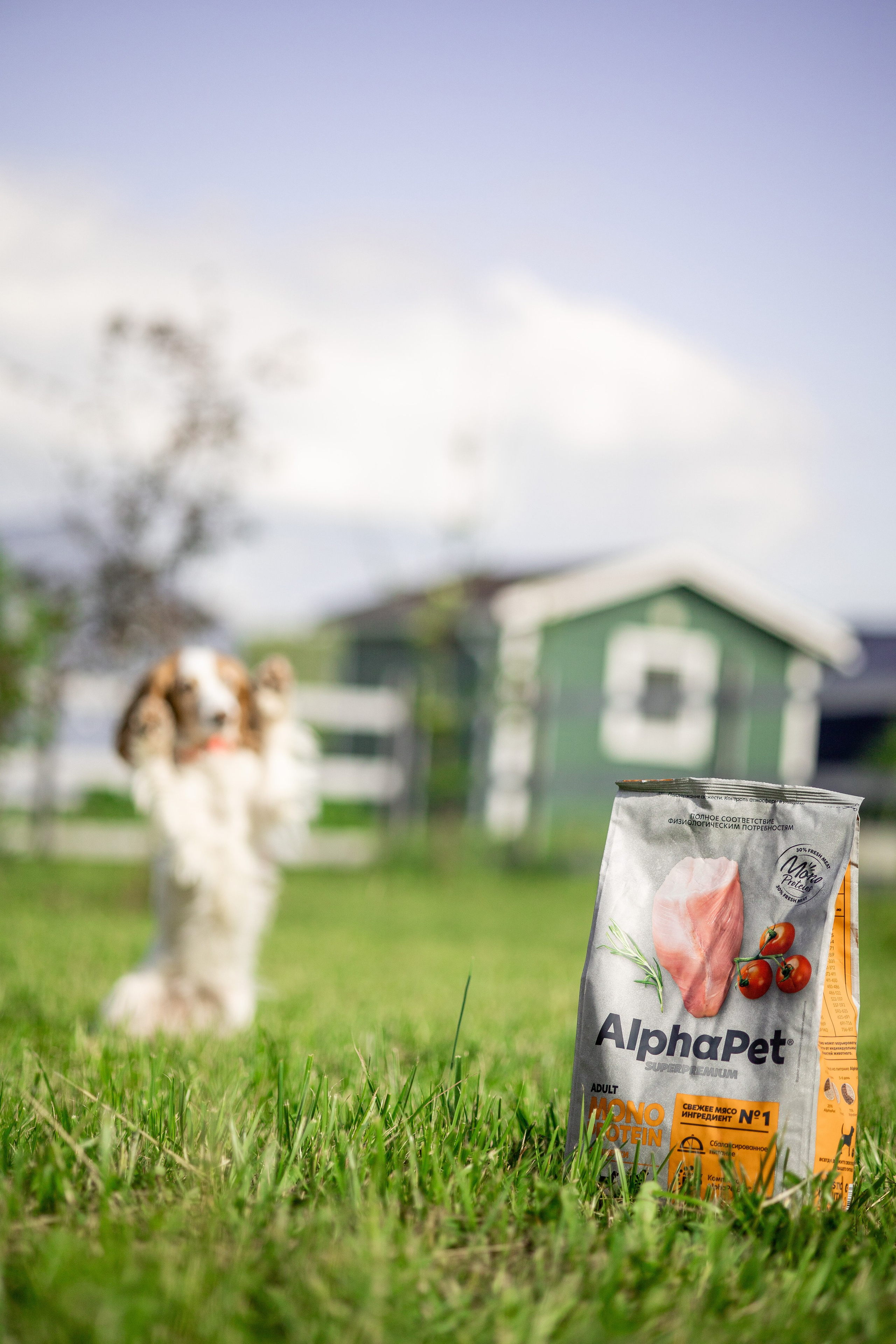 Корм AlphaPet. Анастасия Белаш