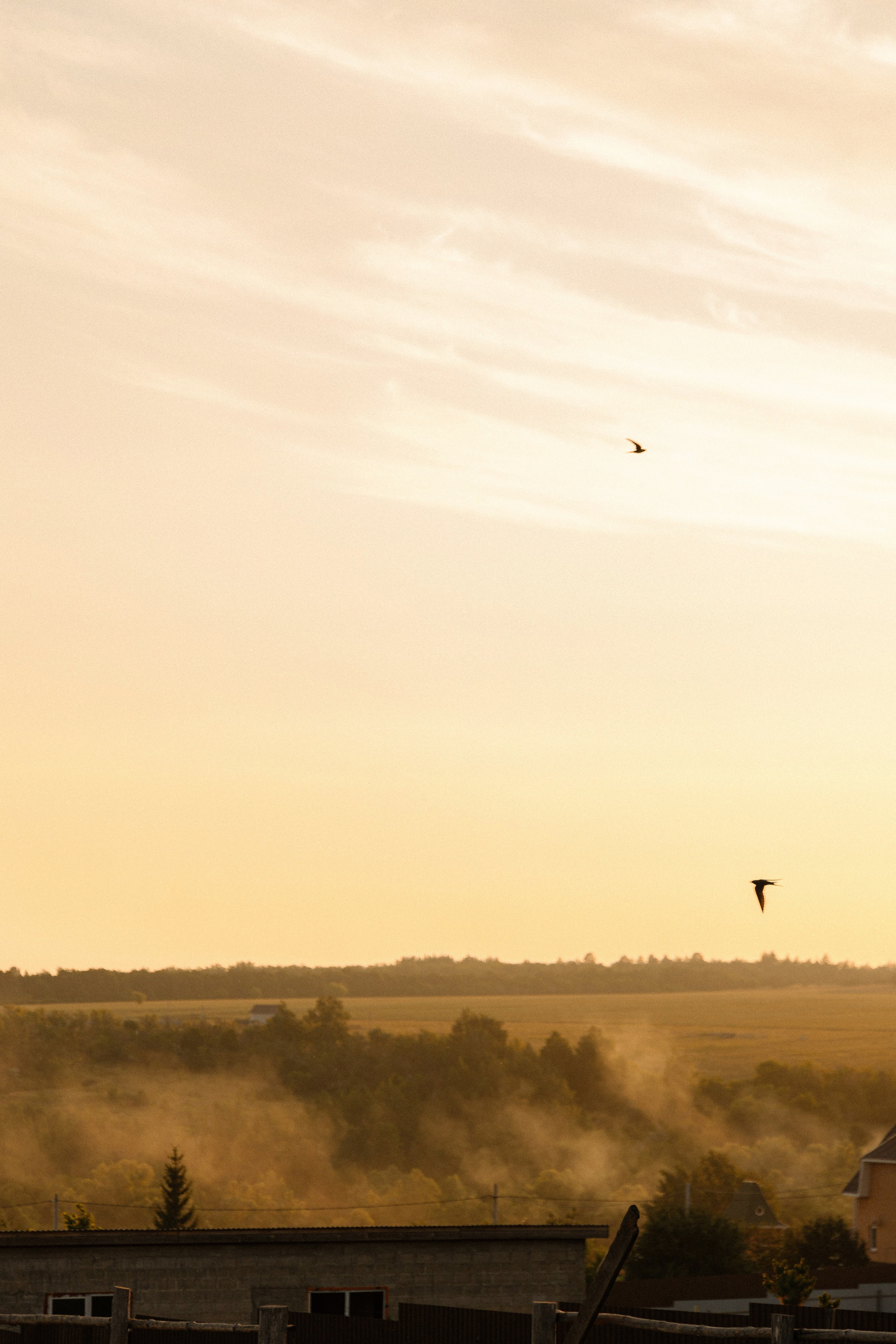 ARINA & NIKITA. Свадебный и семейный фотограф в Самаре