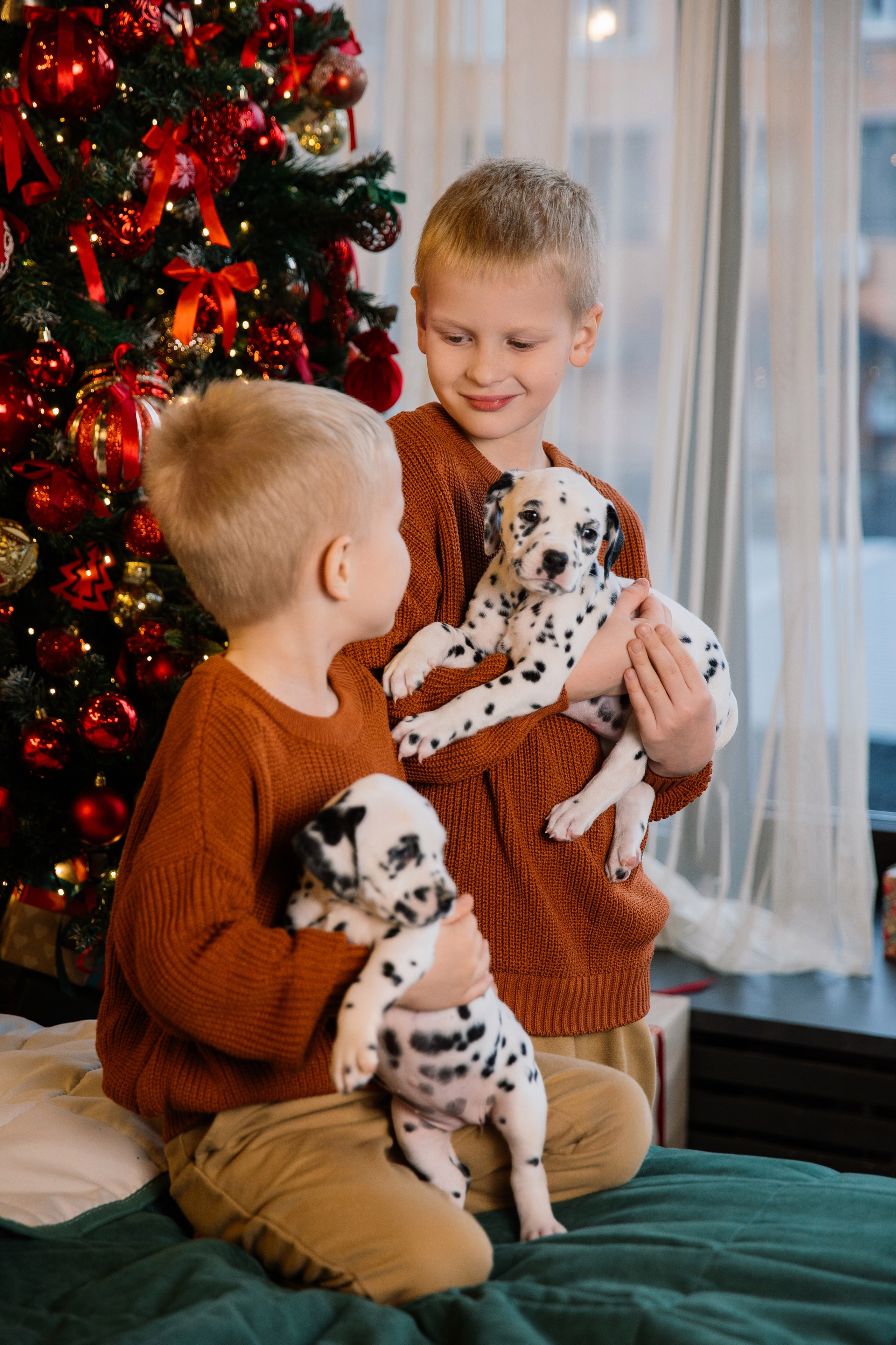 Саша и Рома. Семейный фотограф Толстикова Кристина