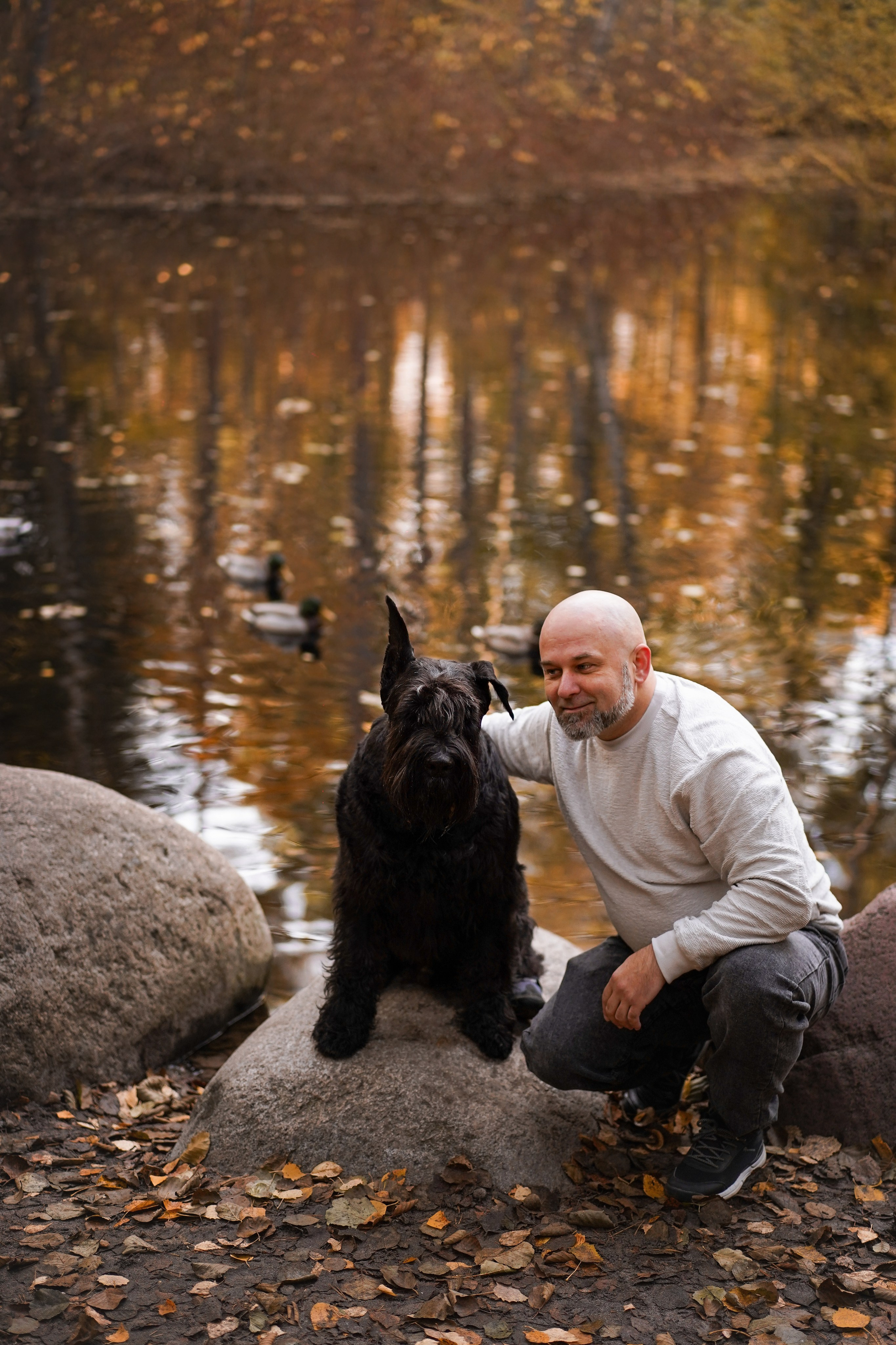 Оля Миша и шнауцеры. Фотограф-анималист в Санкт-Петербурге Яна Мартынова