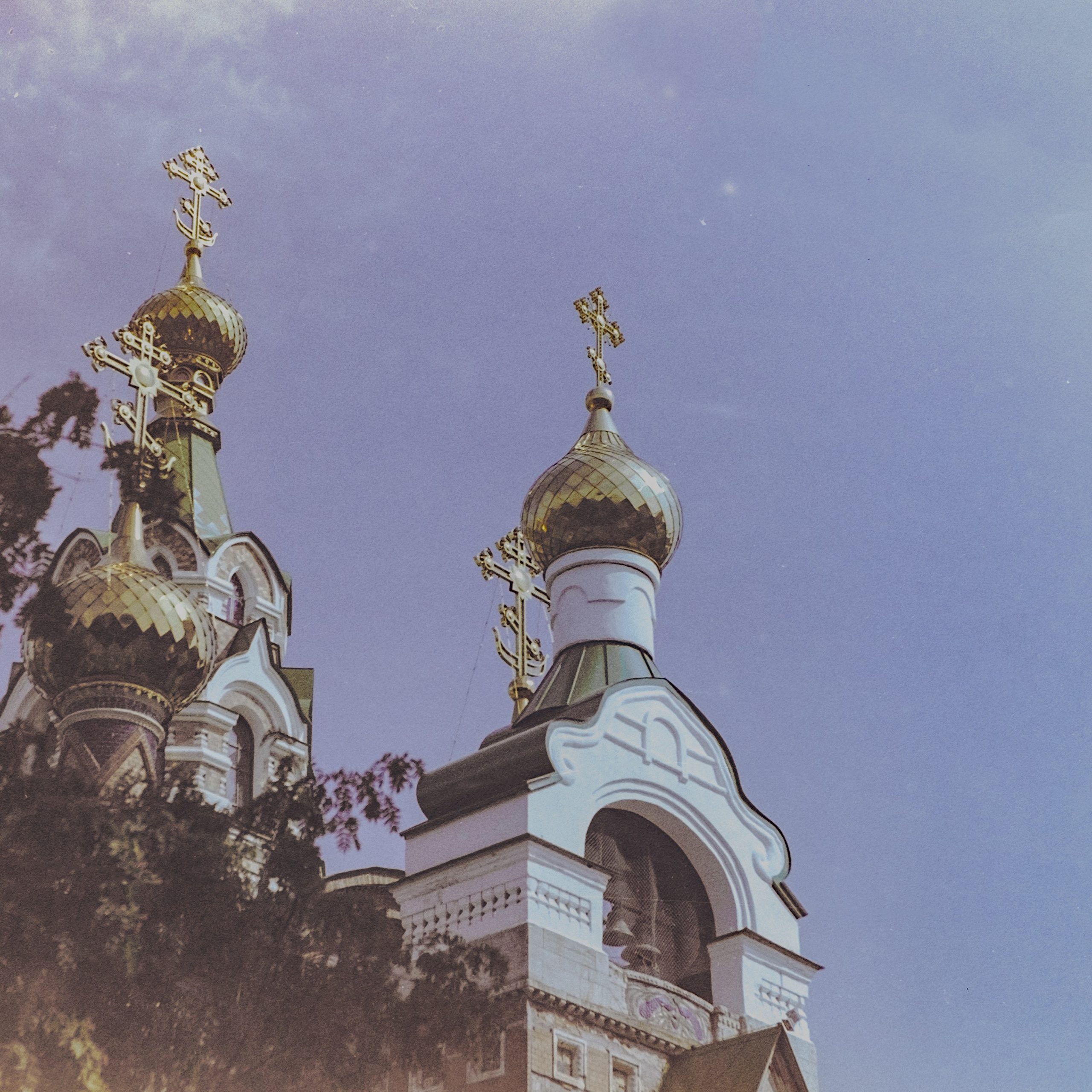 Пленочная история. Дмитрий Пропадалин, Нейрофотография