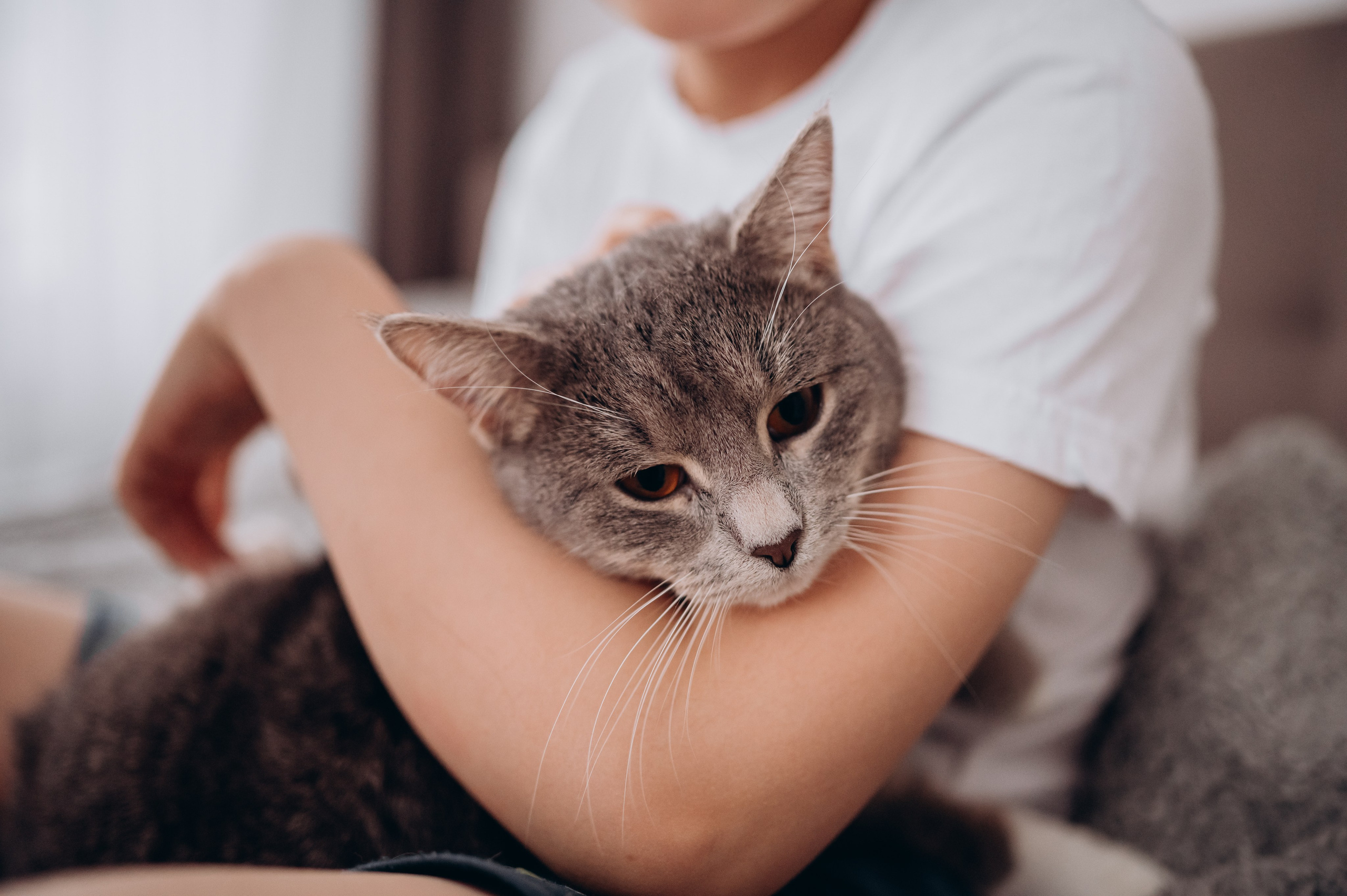Наталия Михаил Давид Вика и Аня. Детский и семейный фотограф в Москве
