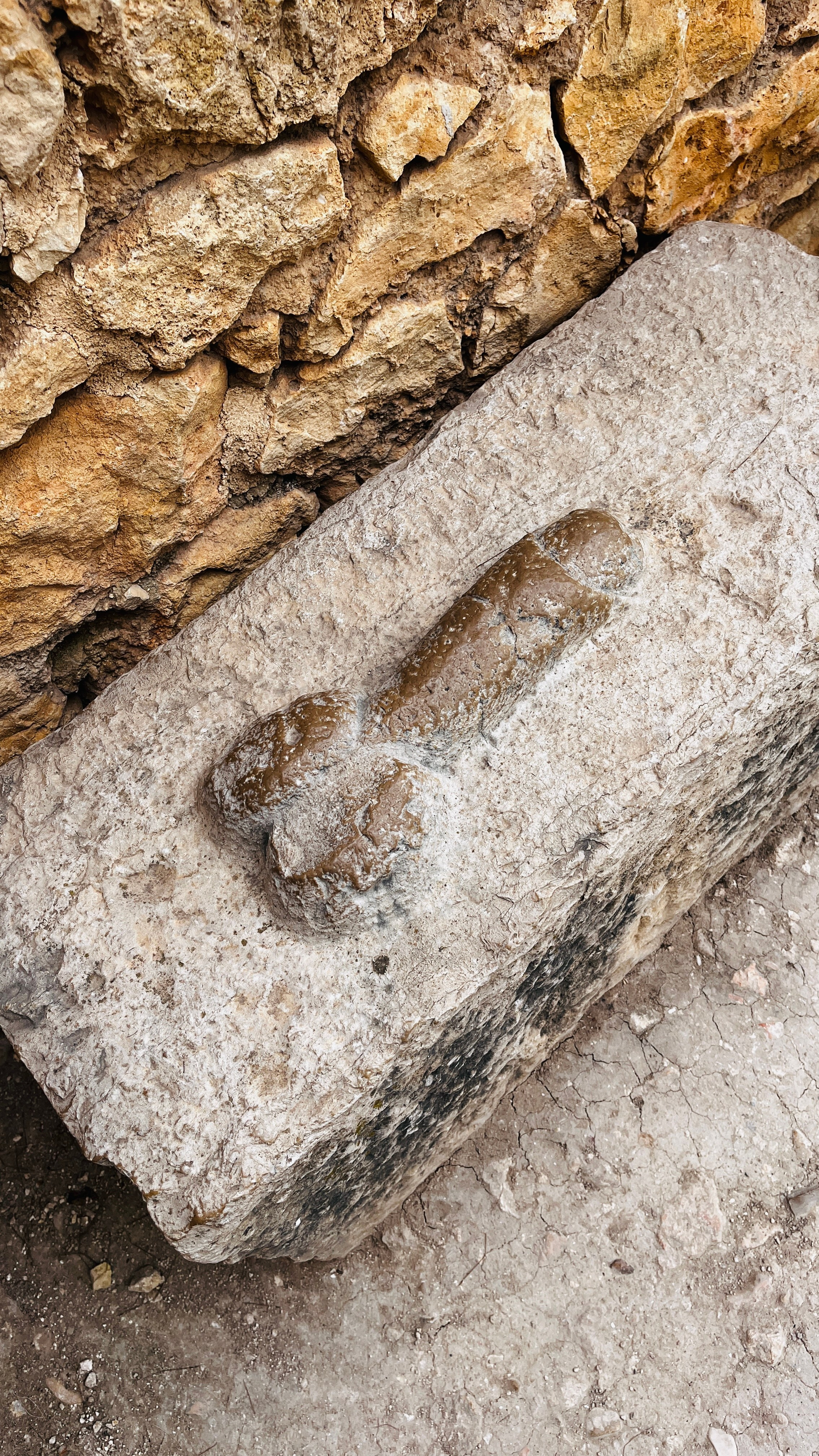 Северная Африка: Тунис, Марокко. Фотограф в Хабаровске. Фотография за 24 часа