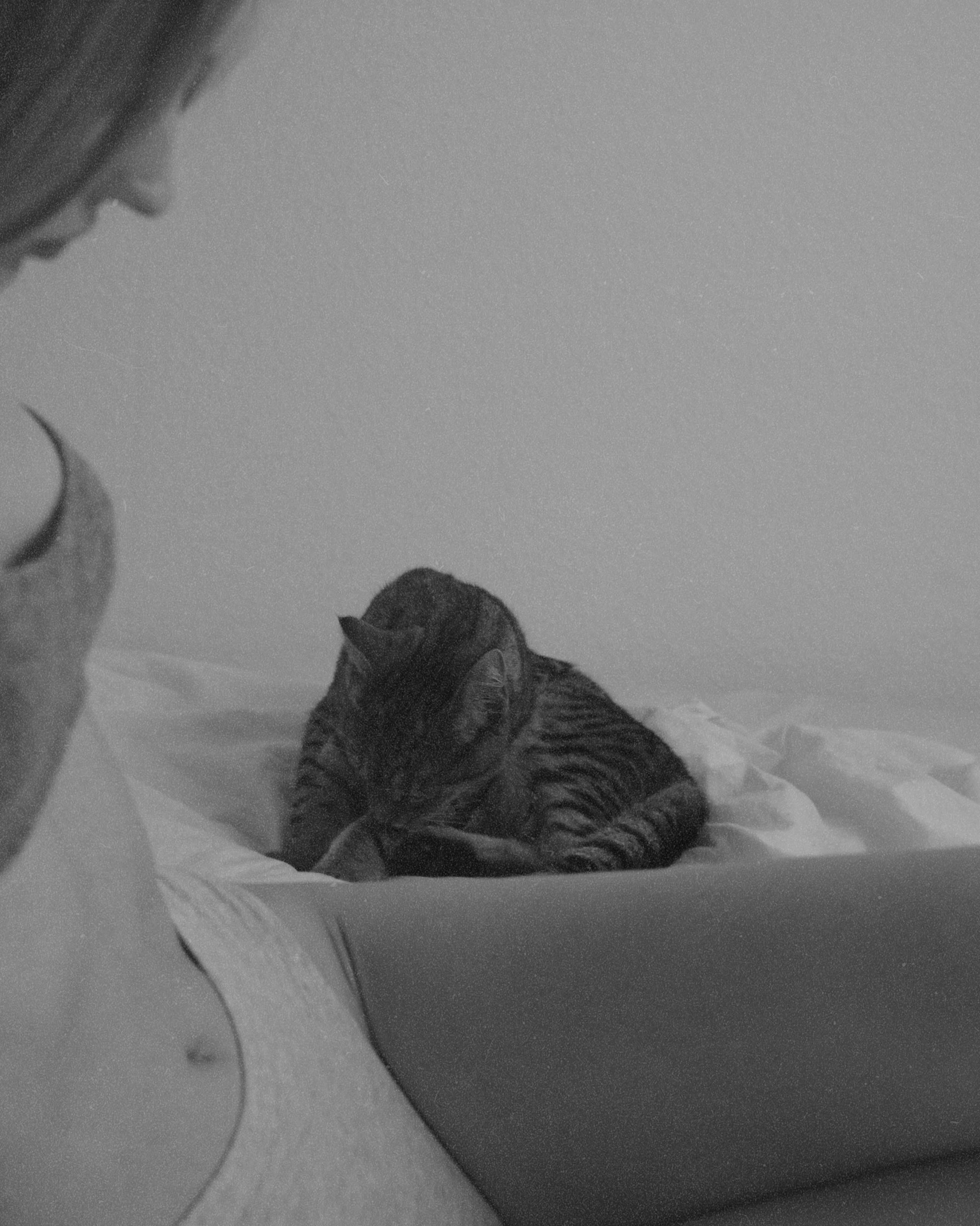 Фотограф, оператор, режиссер монтажа в Москве Сюзанна Евсюкова