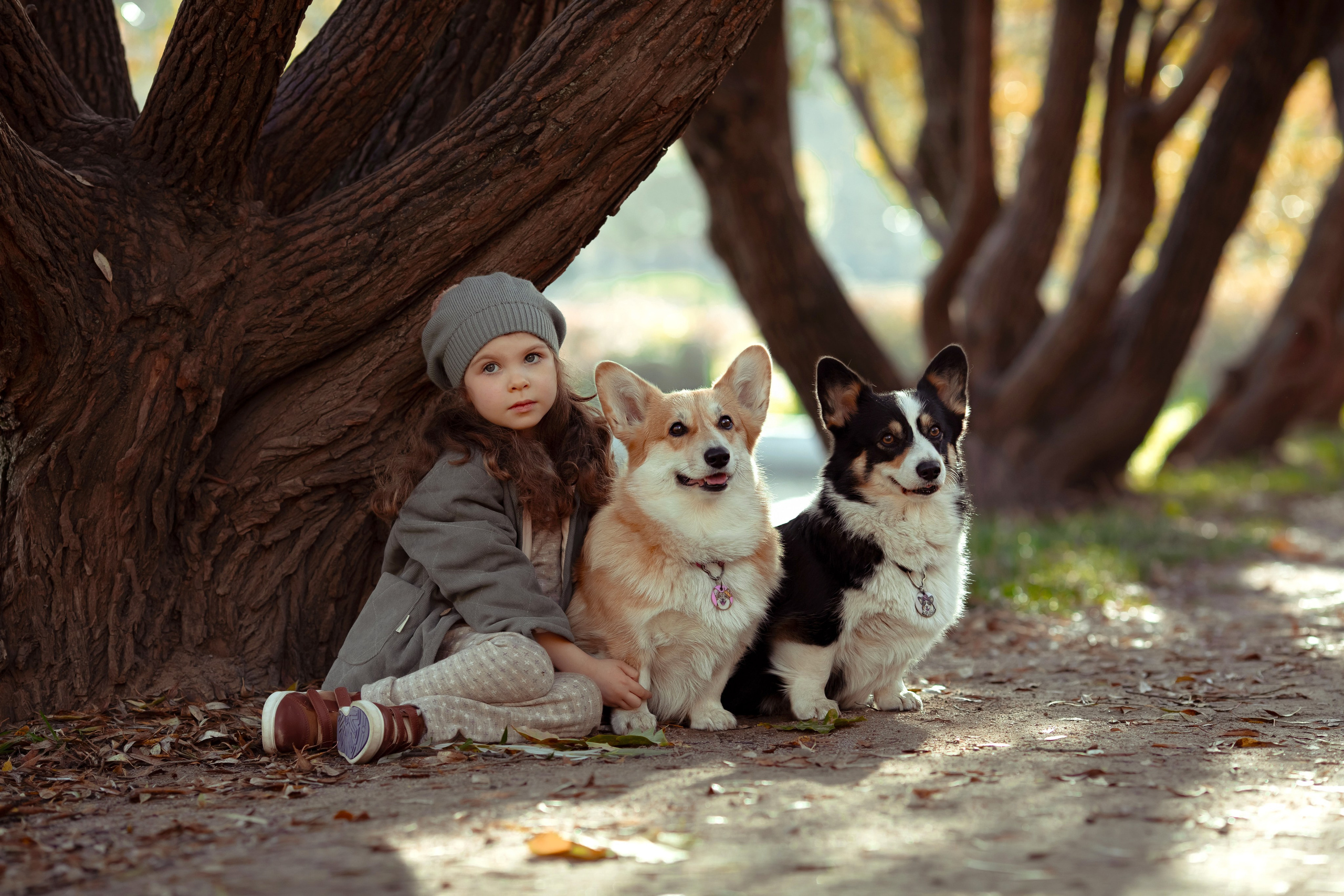 Эва с корги. Семейный и детский фотограф в Москве Дорогова Екатерина