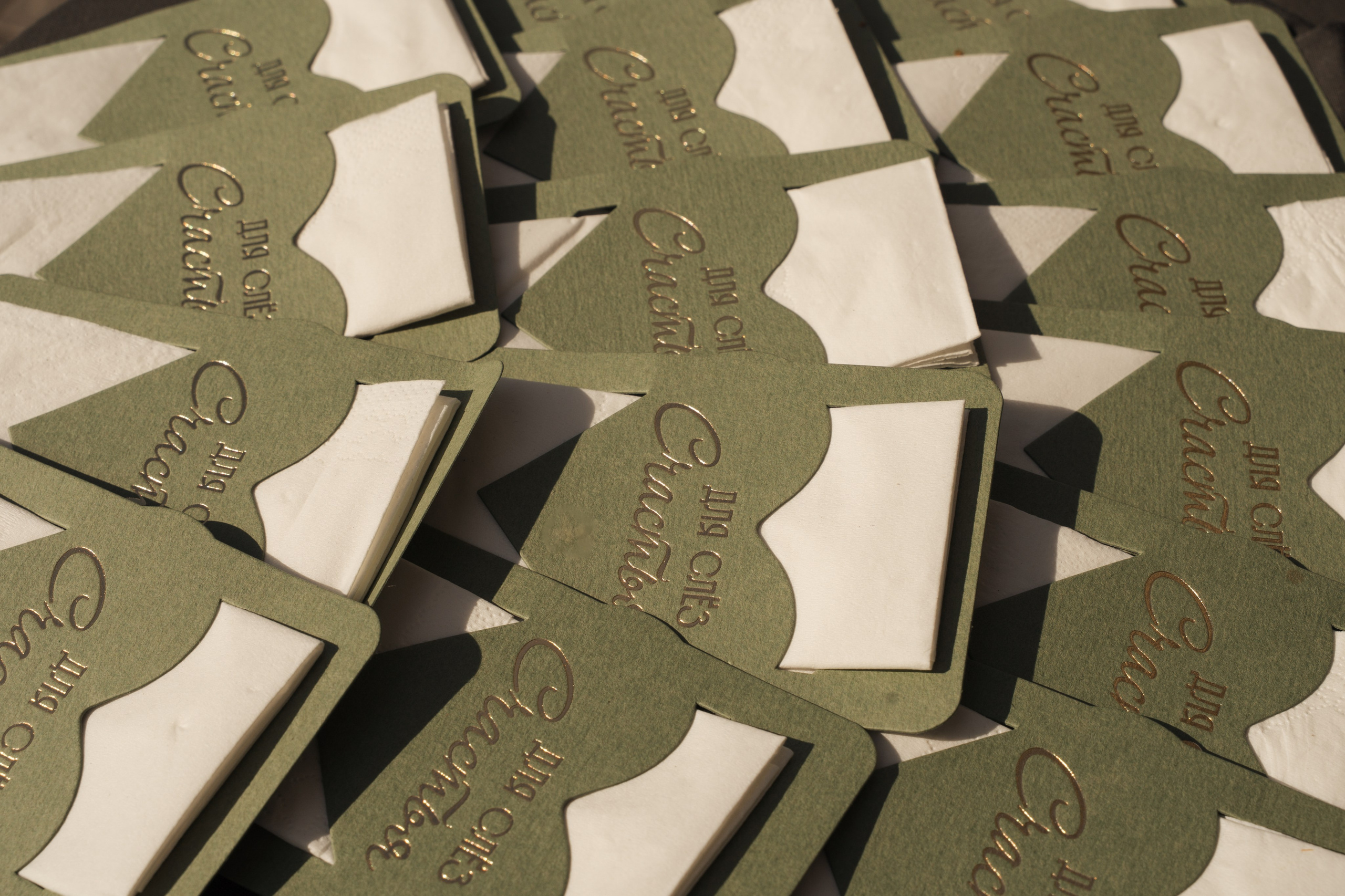 Костя и Алена. Семейный фотограф в Москве Галина Гончар