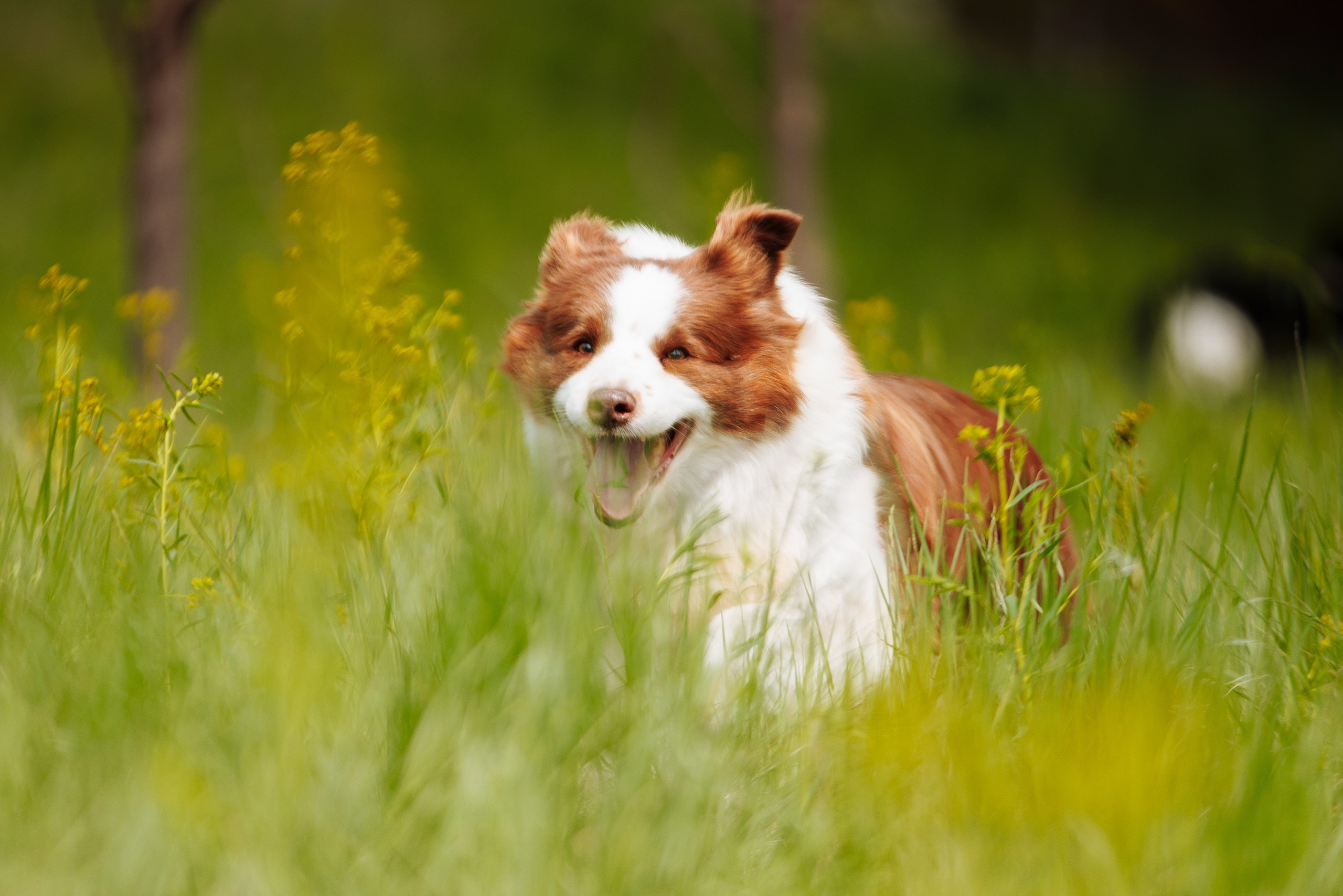 Такой разношерстный Орск 25. О нас