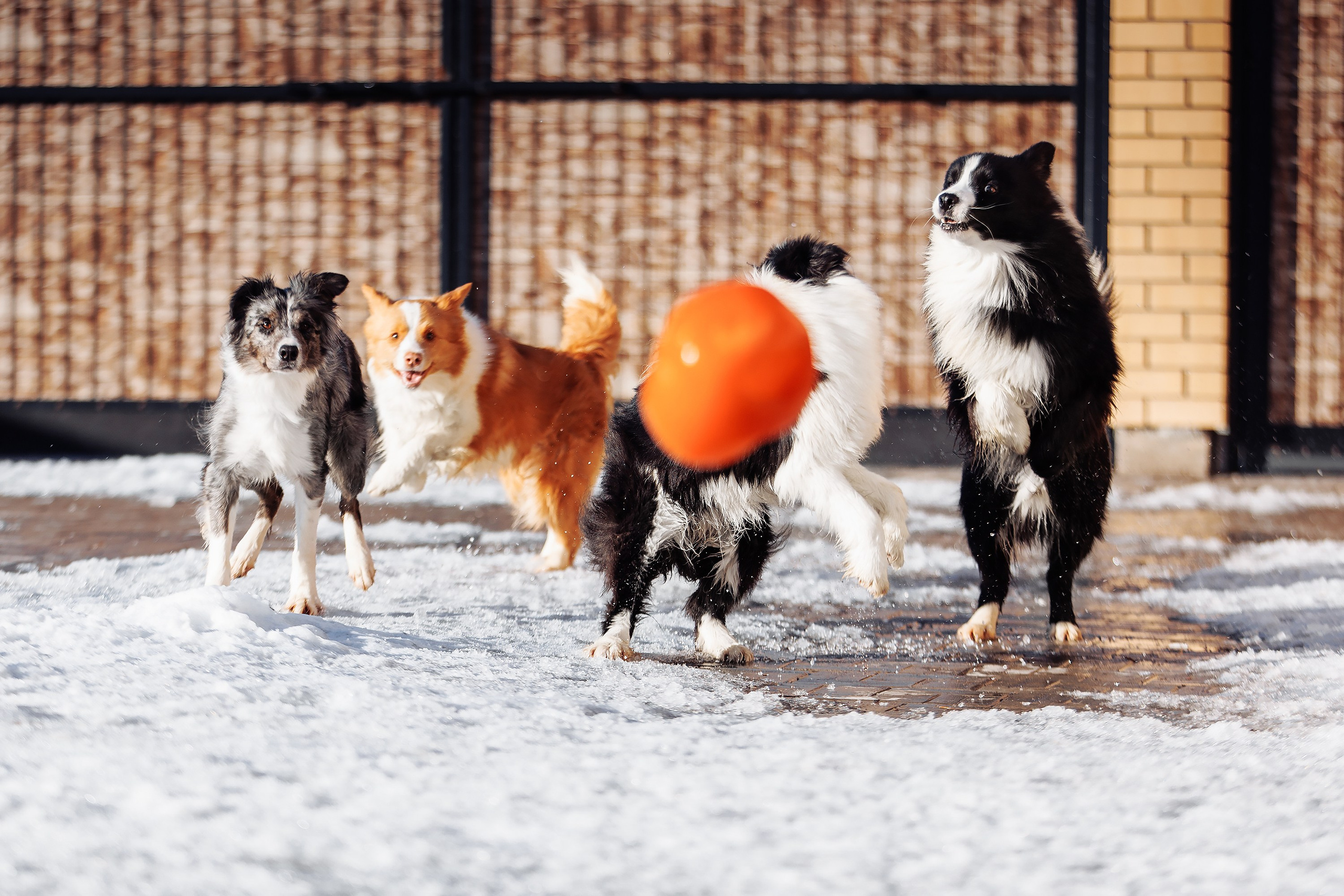 Пока таяло. О нас