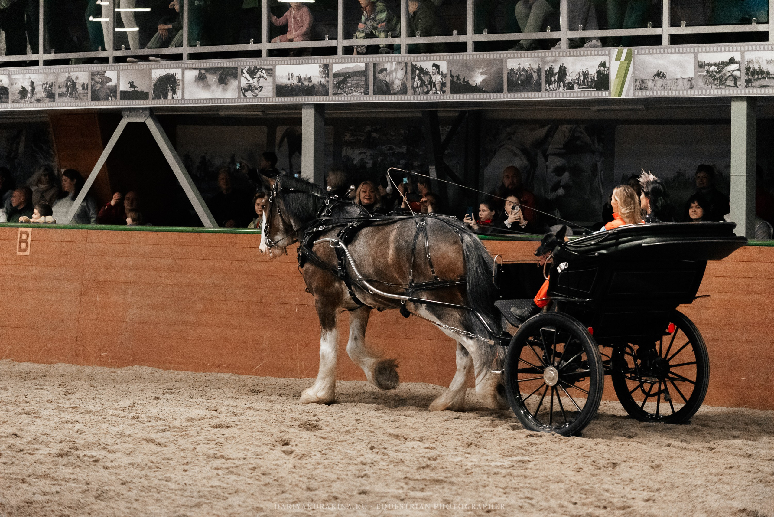 Конное представление «Дыхание Звёзд». Конный фотограф Куракина Дарья • Фотосессии с лошадьми