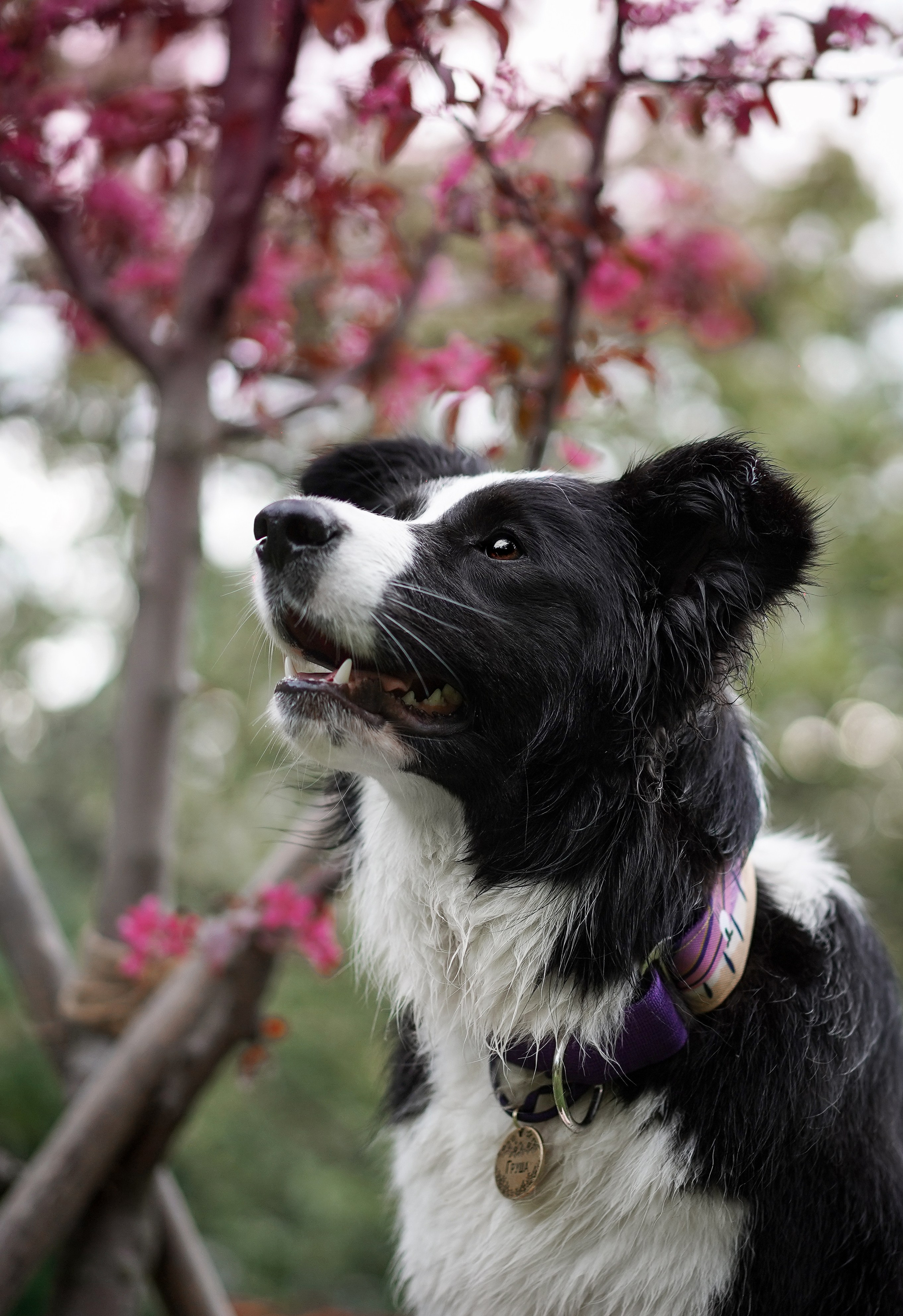 Юля, ее мама и Груша. Фотограф-анималист в Санкт-Петербурге Яна Мартынова