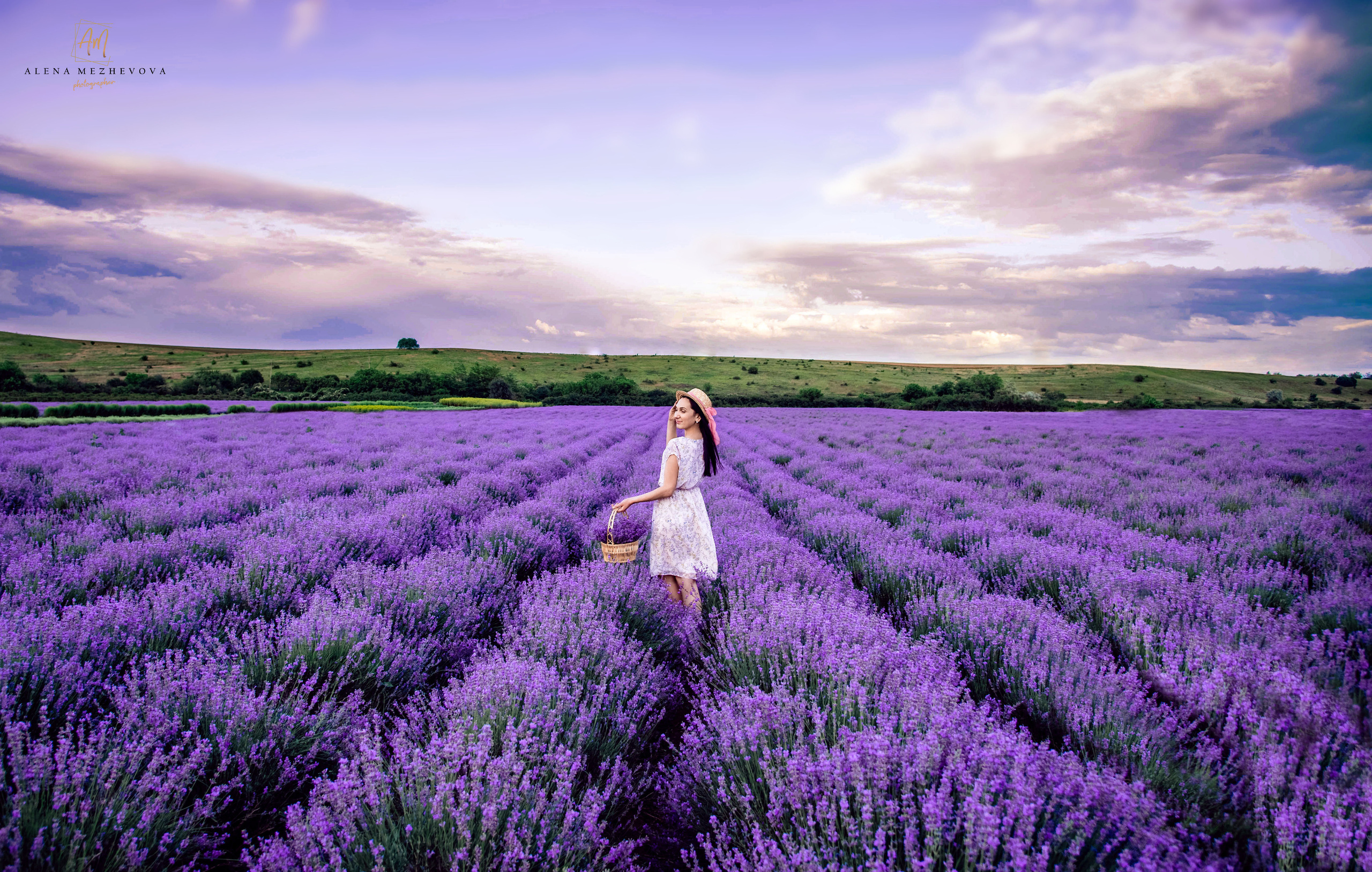 Фотосессия в лаванде. Свадебный и семейный фотограф и видеограф, Крым, Москва, Санкт -Петербург