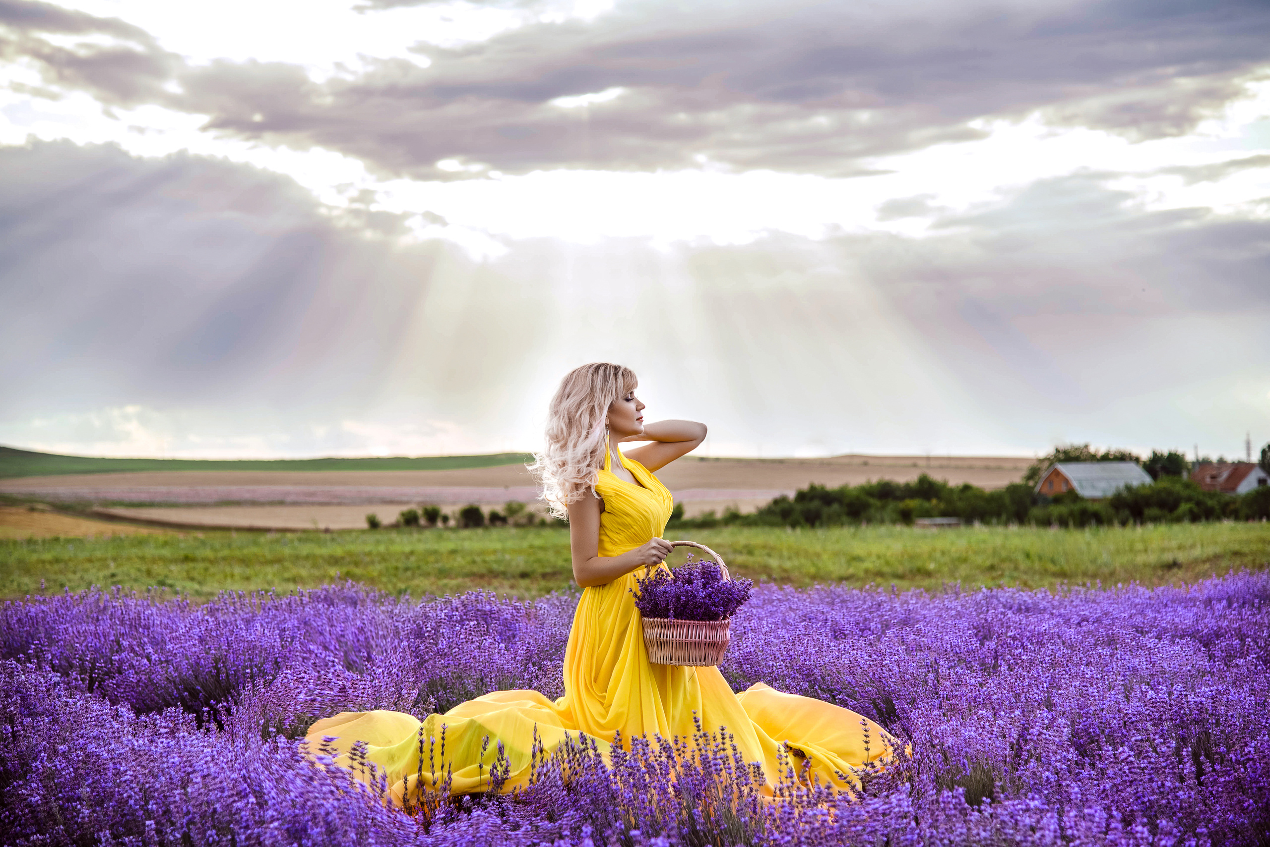 Фотосессия в лаванде. Свадебный и семейный фотограф и видеограф, Крым, Москва, Санкт -Петербург