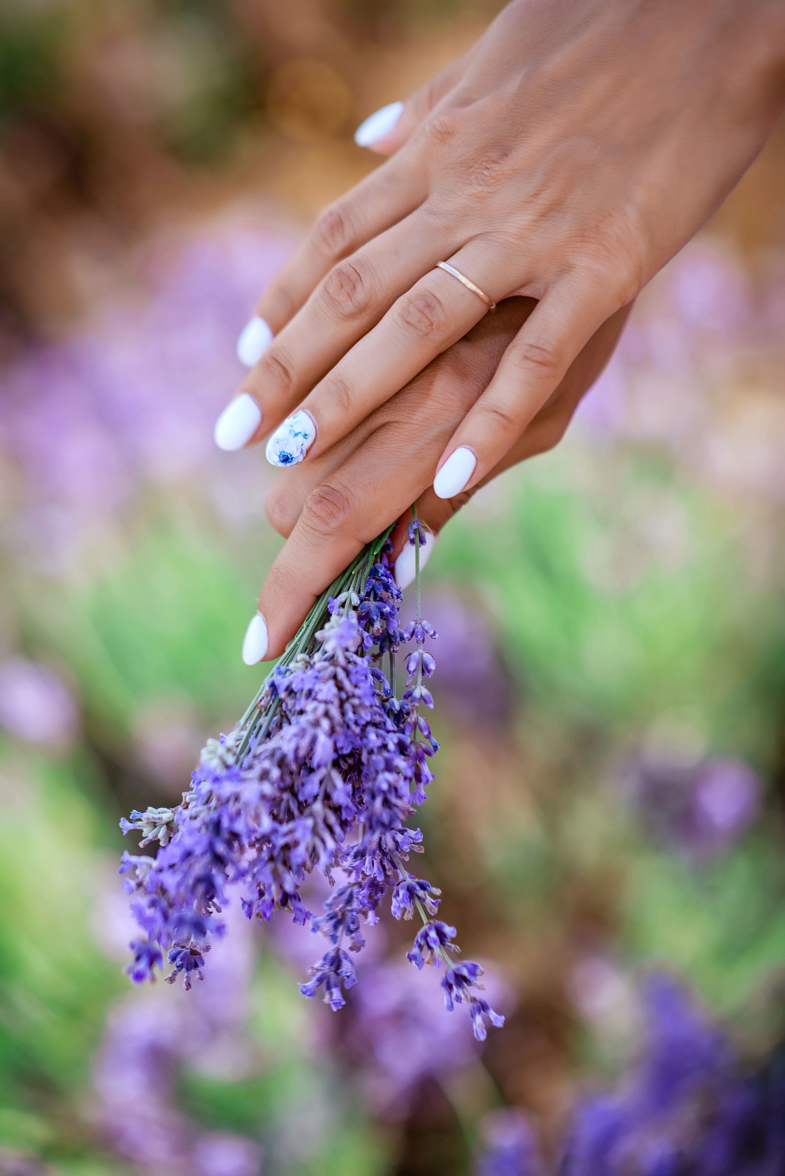 Фотосессия в лаванде. Свадебный и семейный фотограф и видеограф, Крым, Москва, Санкт -Петербург