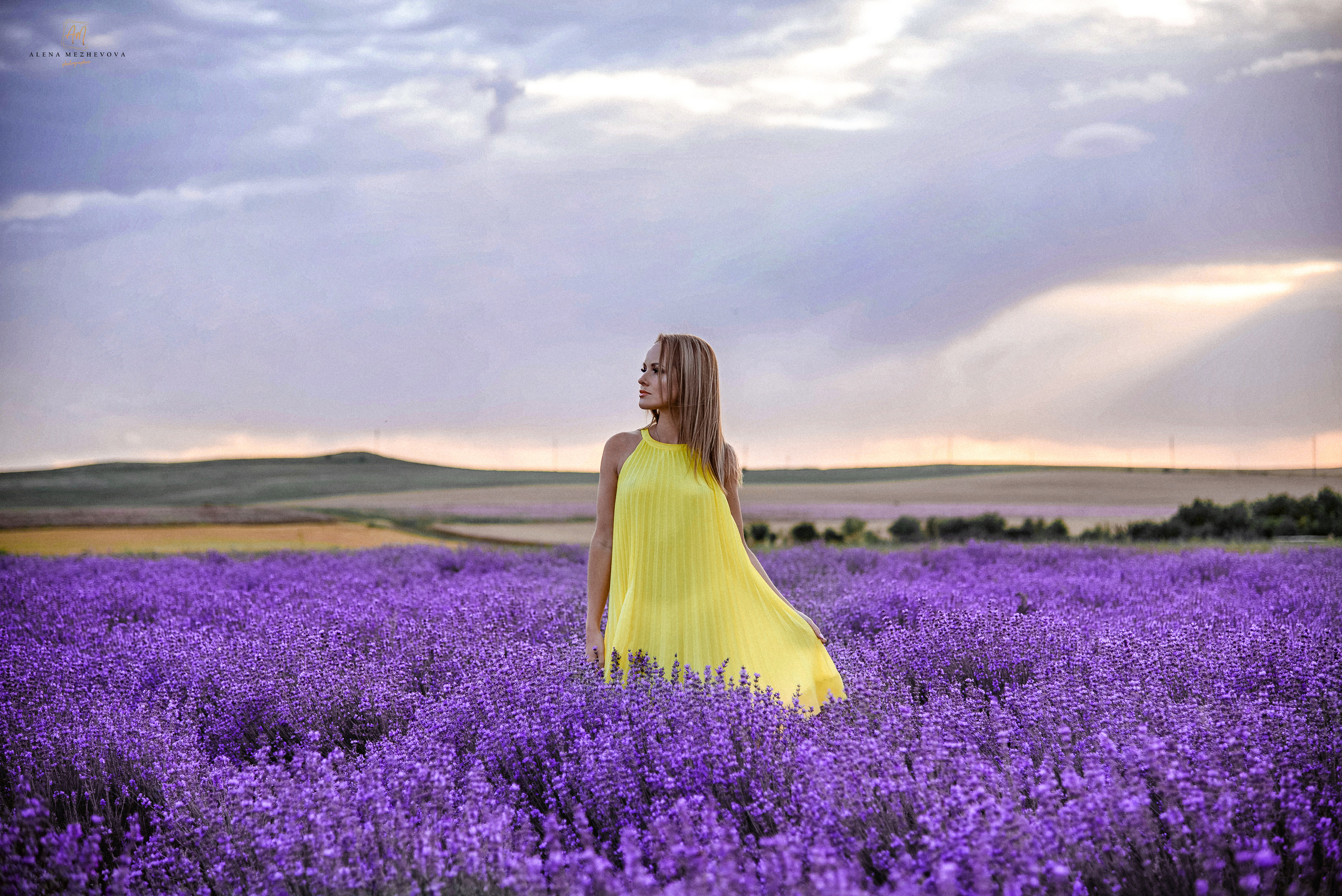 Фотосессия в лаванде. Свадебный и семейный фотограф и видеограф, Крым, Москва, Санкт -Петербург