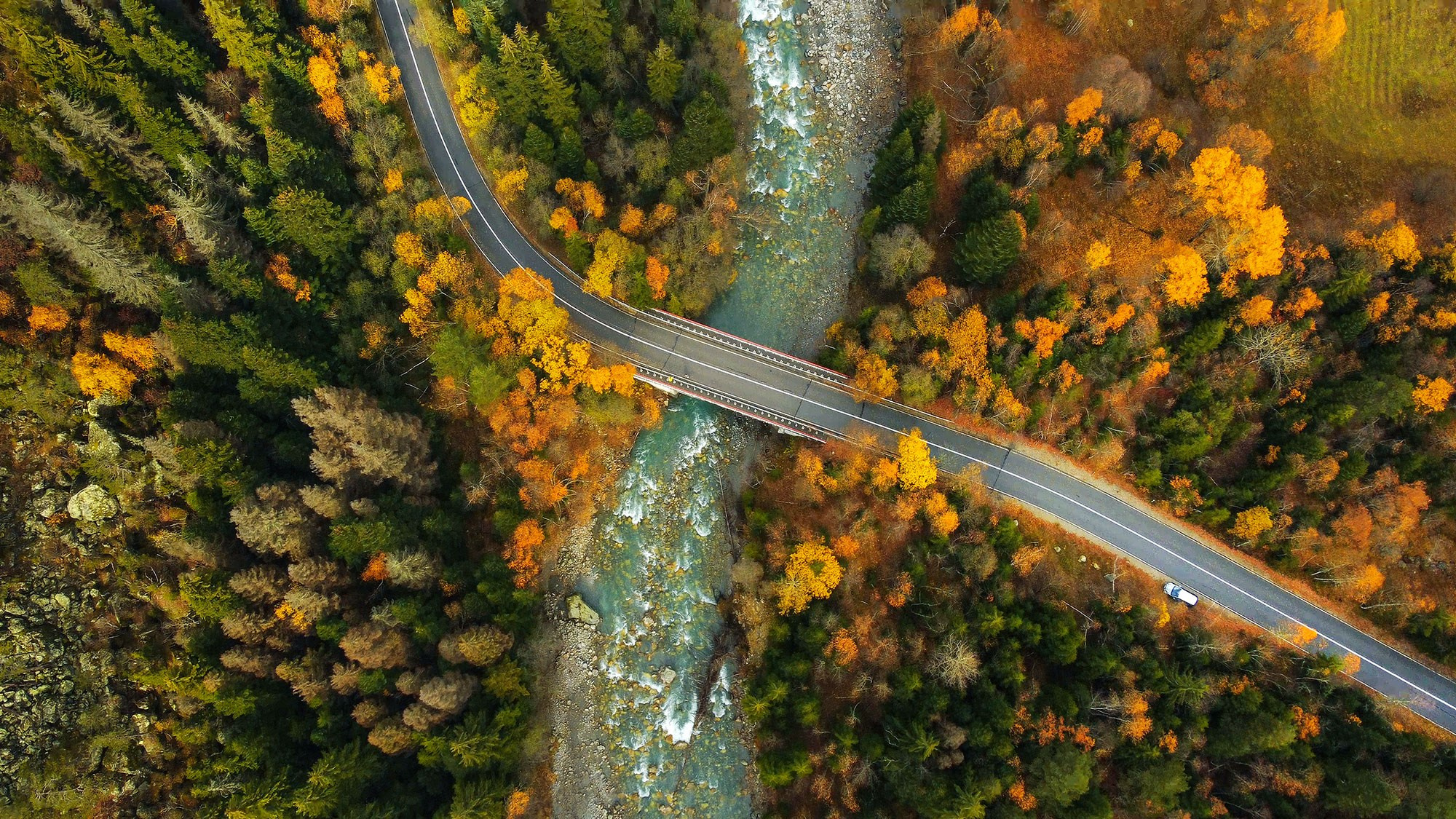 Свадебный фотограф в Геленджике