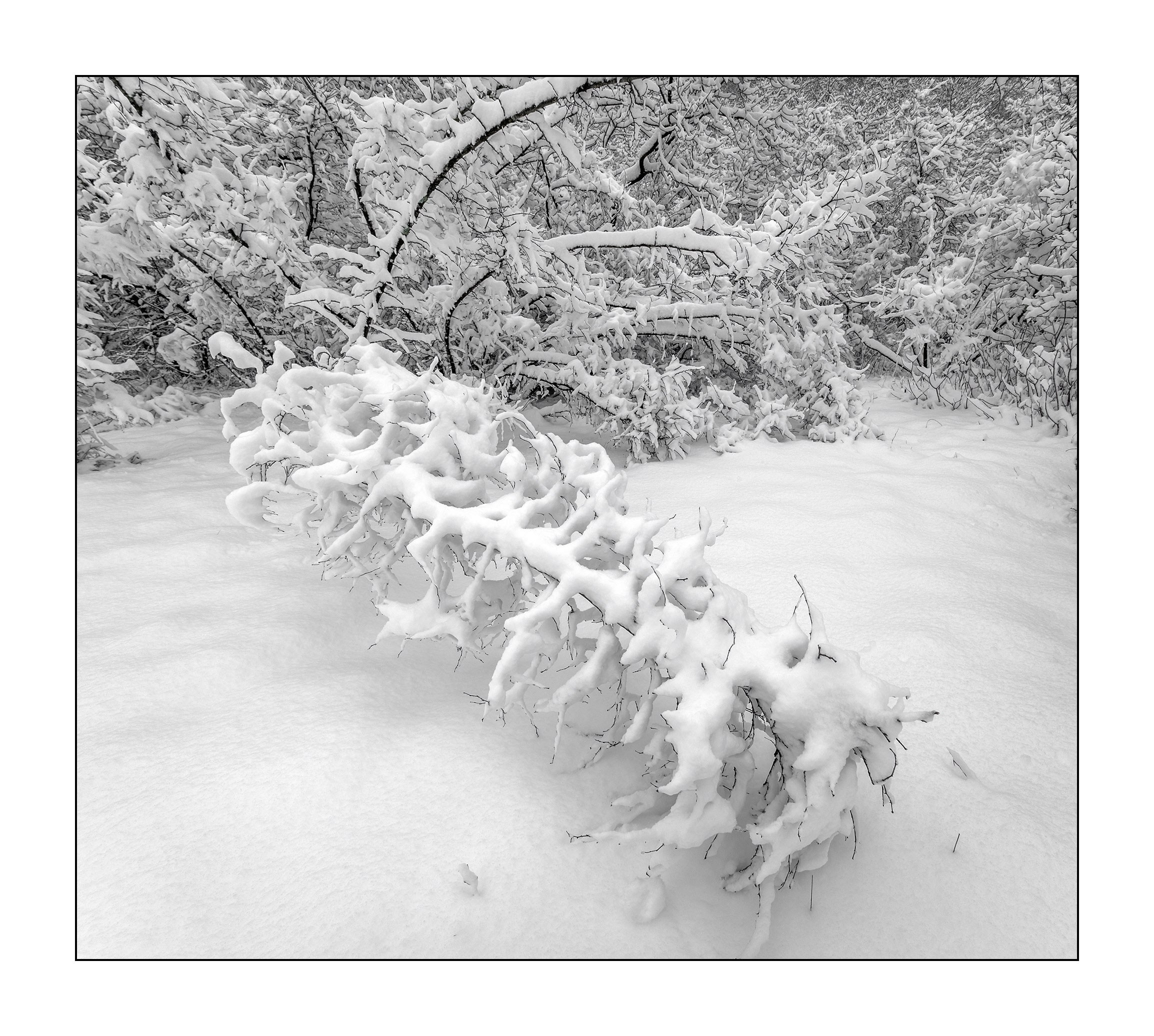 фотограф Геленджик