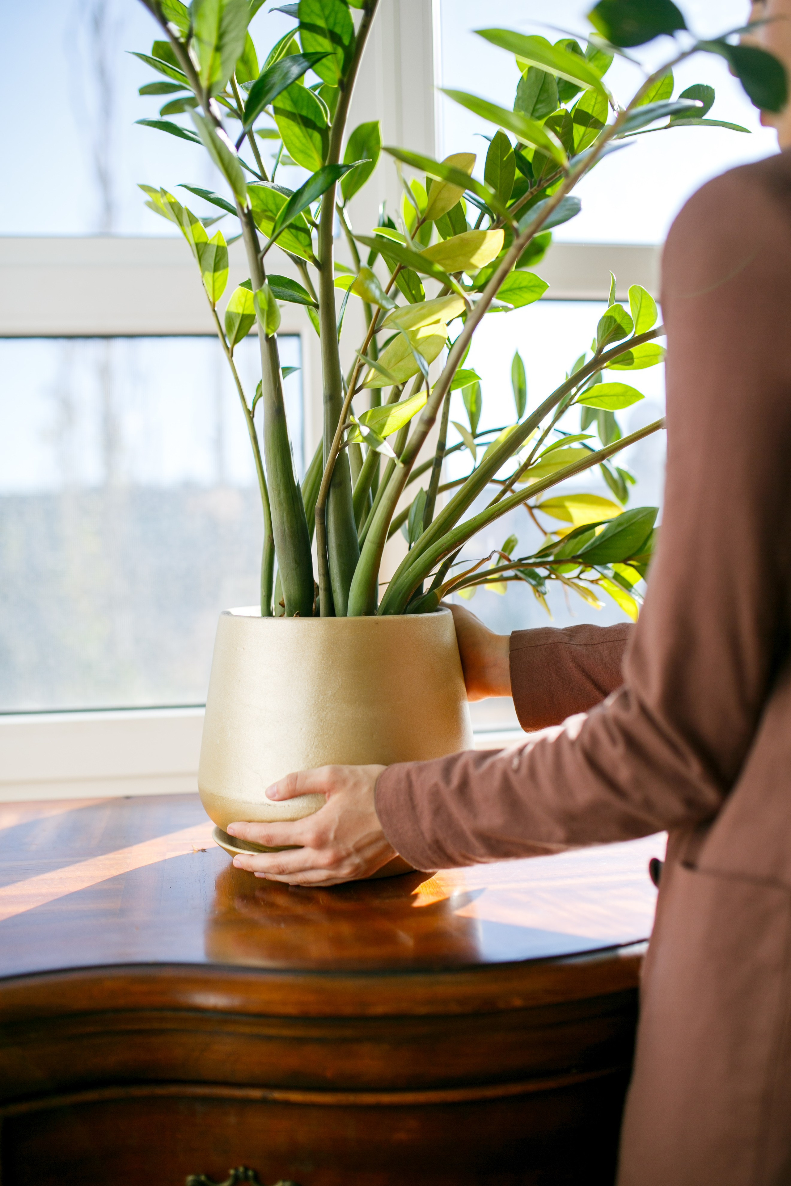 Зоя. Дизайнер. Фотограф Шейдаев Эмин г. Волгоград