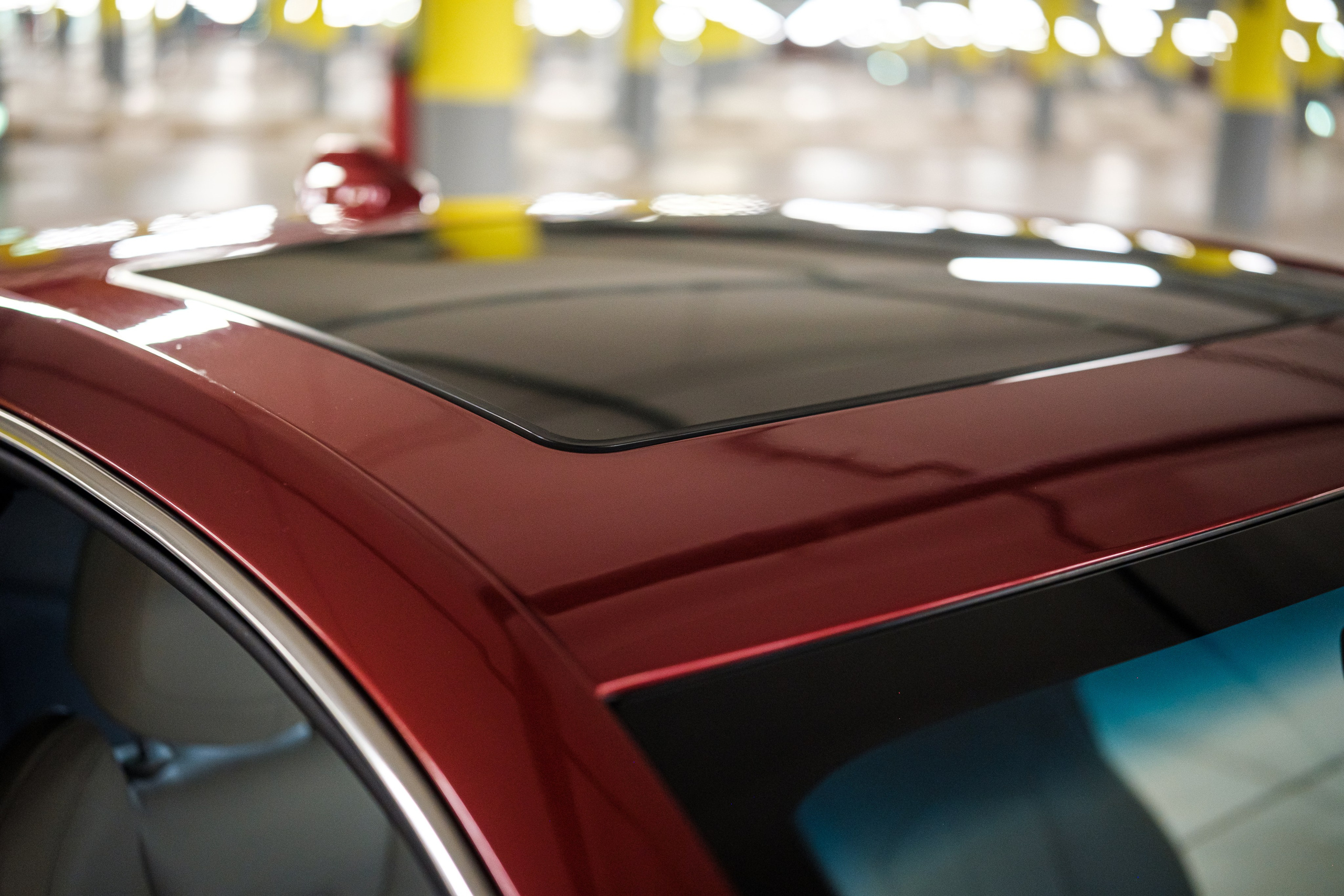 Кэдди. Алексей Никифоров фотограф Москва, Химки