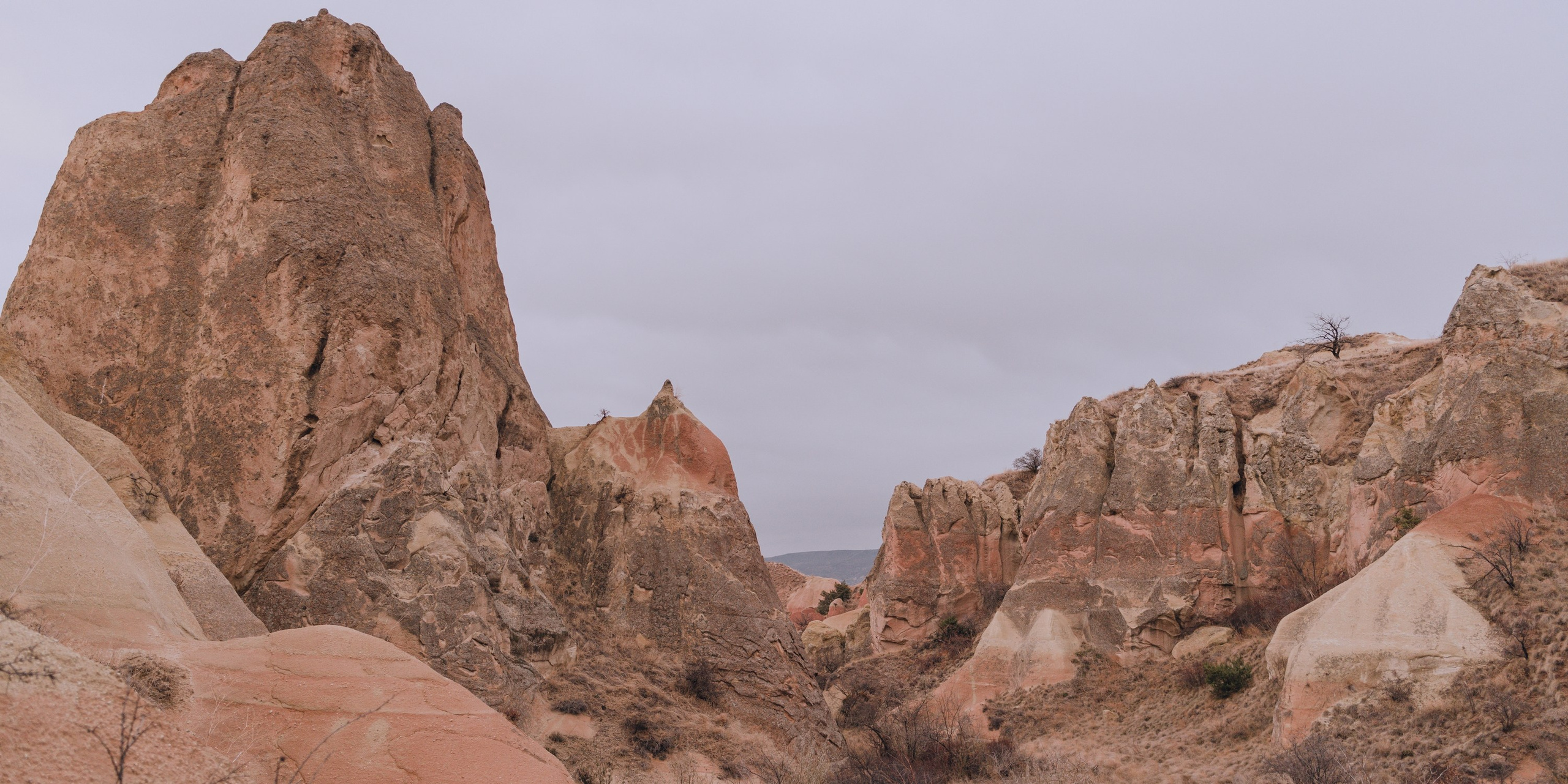 Turkey. Photographer in Tokyo Anatolii Ozarto