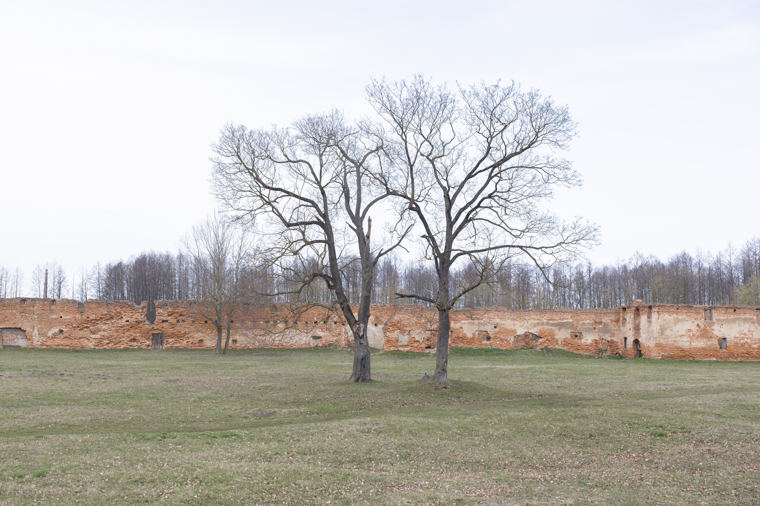 Около меня. Documentary photographer Anton Zdanovich
