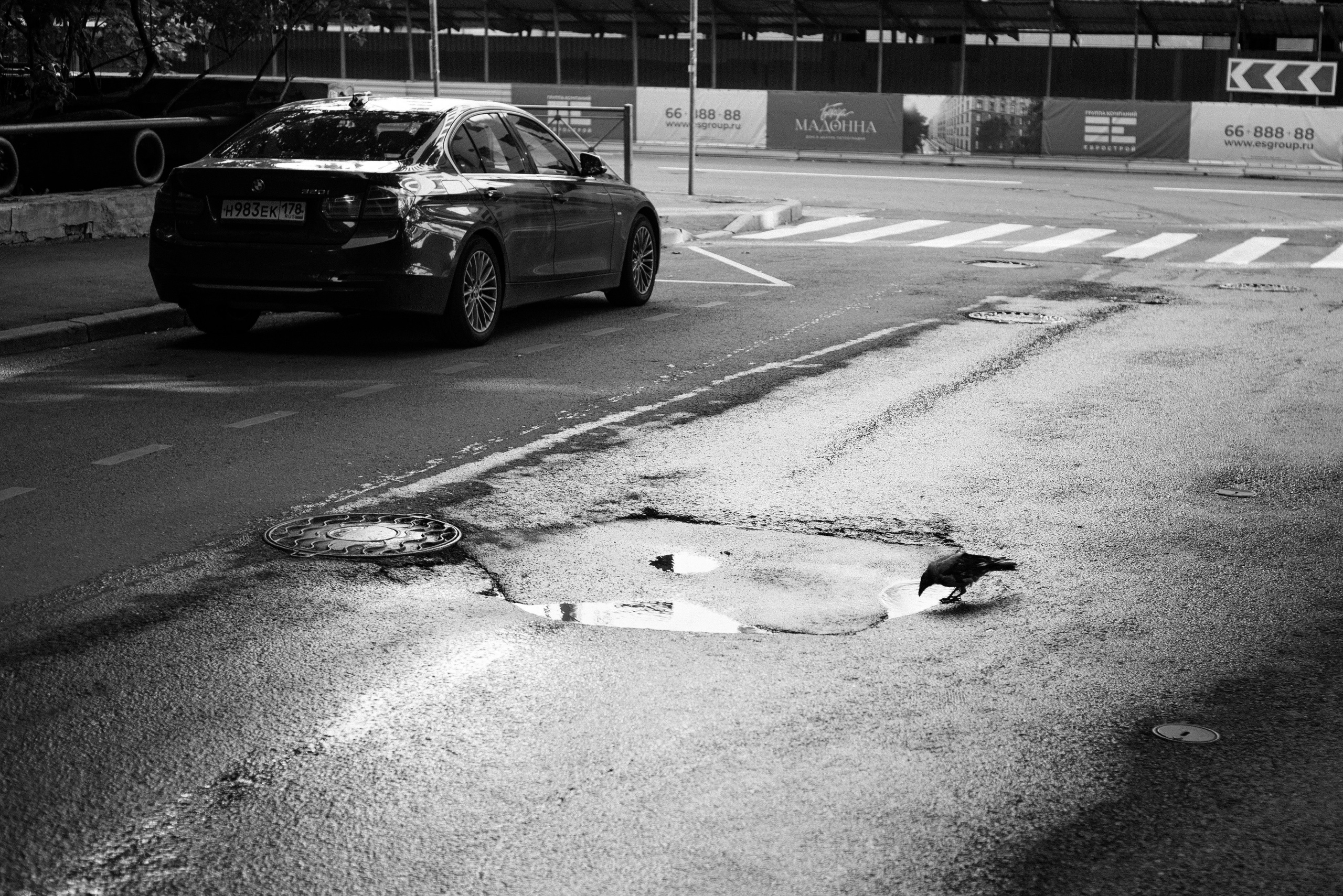 Андрей Корепов. Фотограф в Санкт-Петербурге