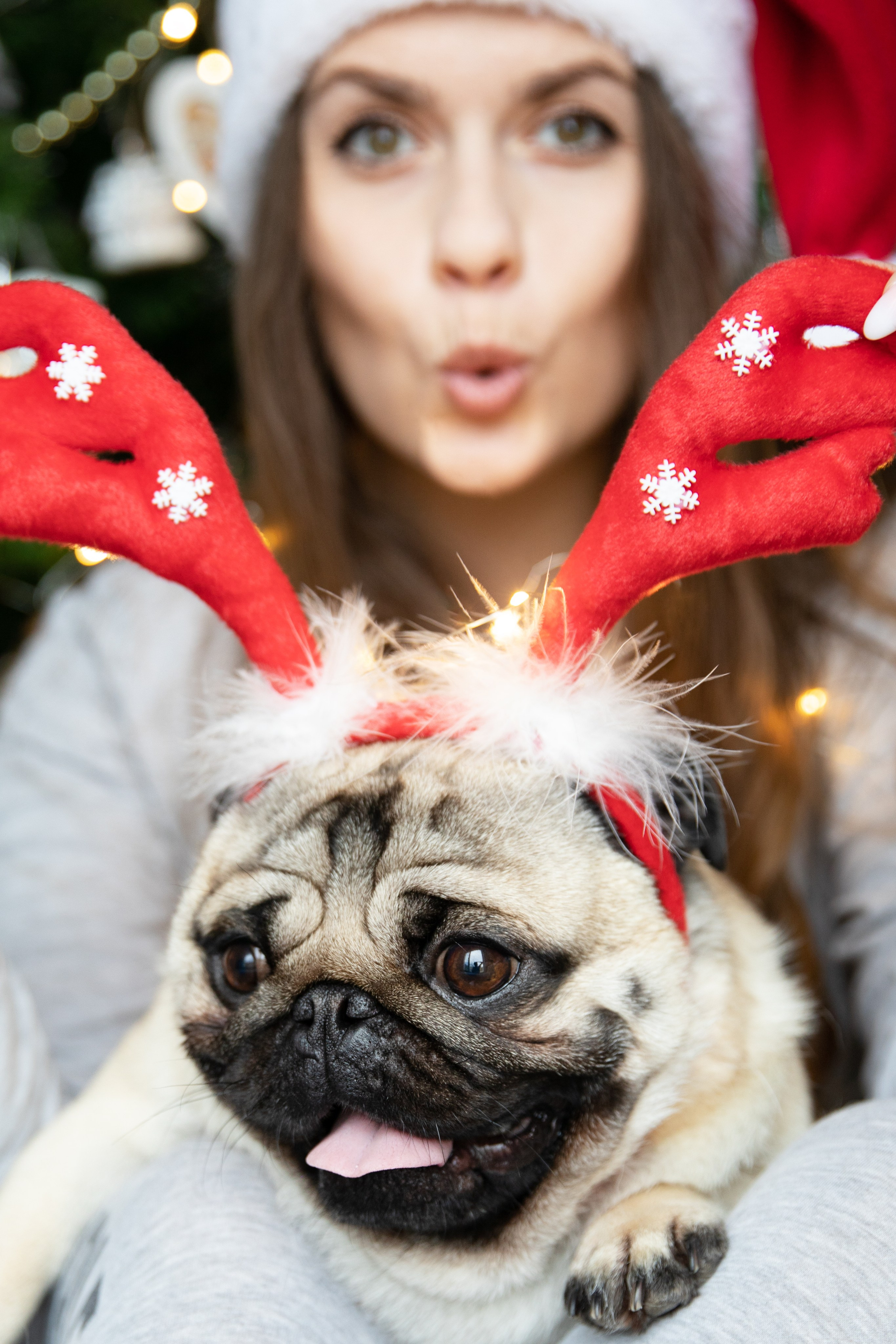 A young family and their pet in Christmas and New Year photo session. Sessões fotográficas de Natal para famílias. Рождественская фотосессия для молодой семьи и их симпатичного питомца.