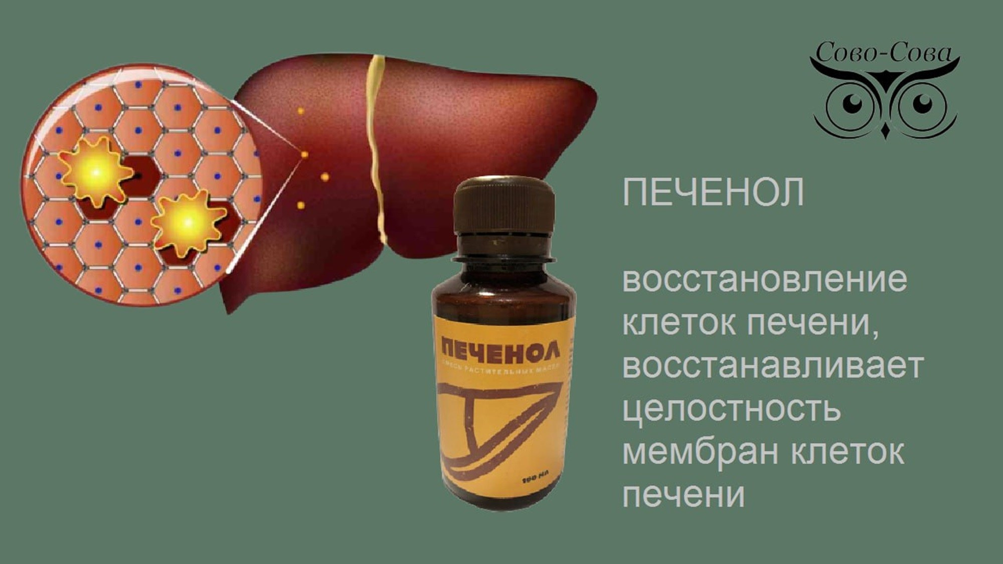 КПД компании Сово-Сова. Сово-Сово — Омоложение и оздоровление!