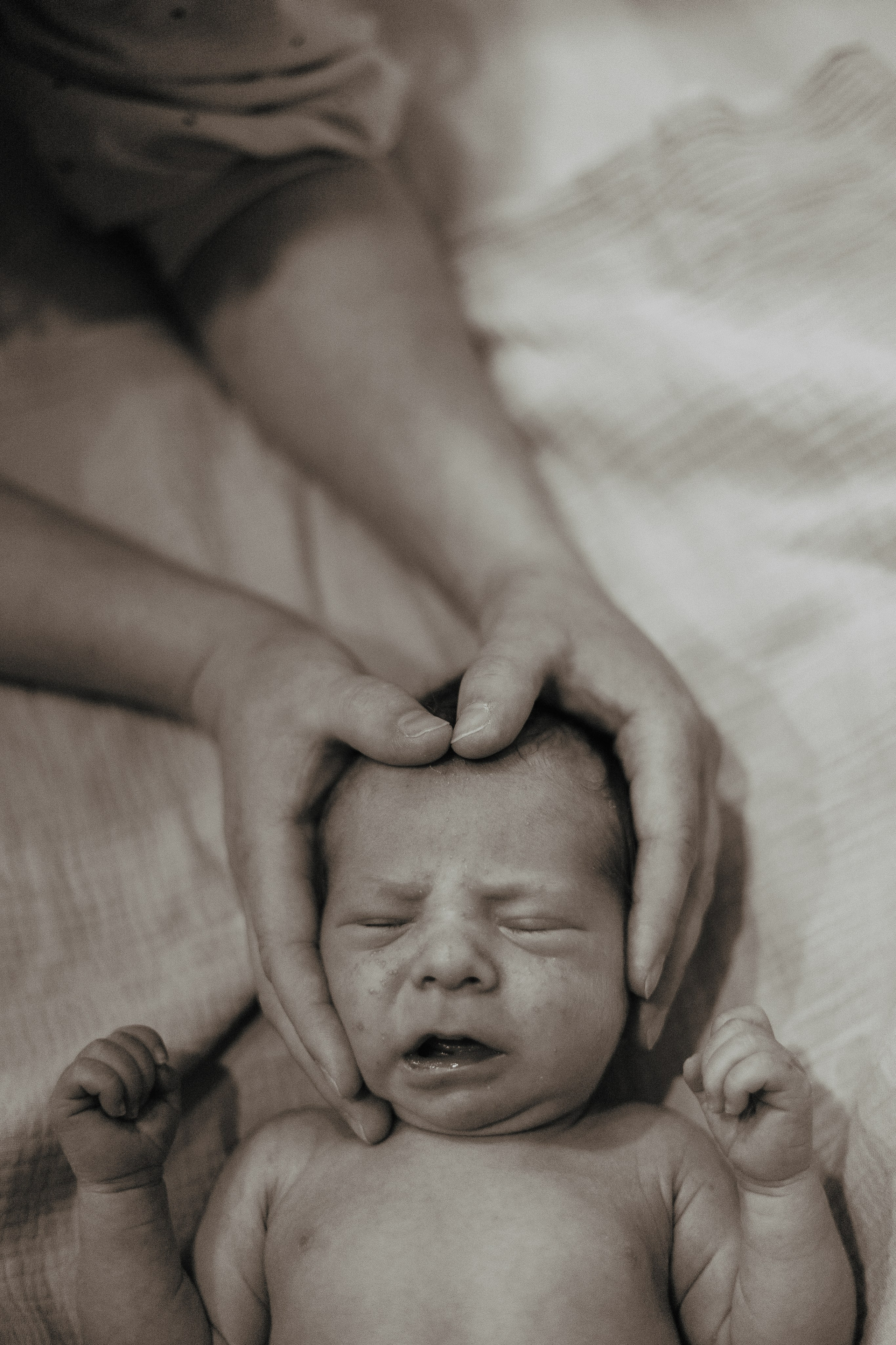 Встреча брата. Новорождённый Влад. Главная