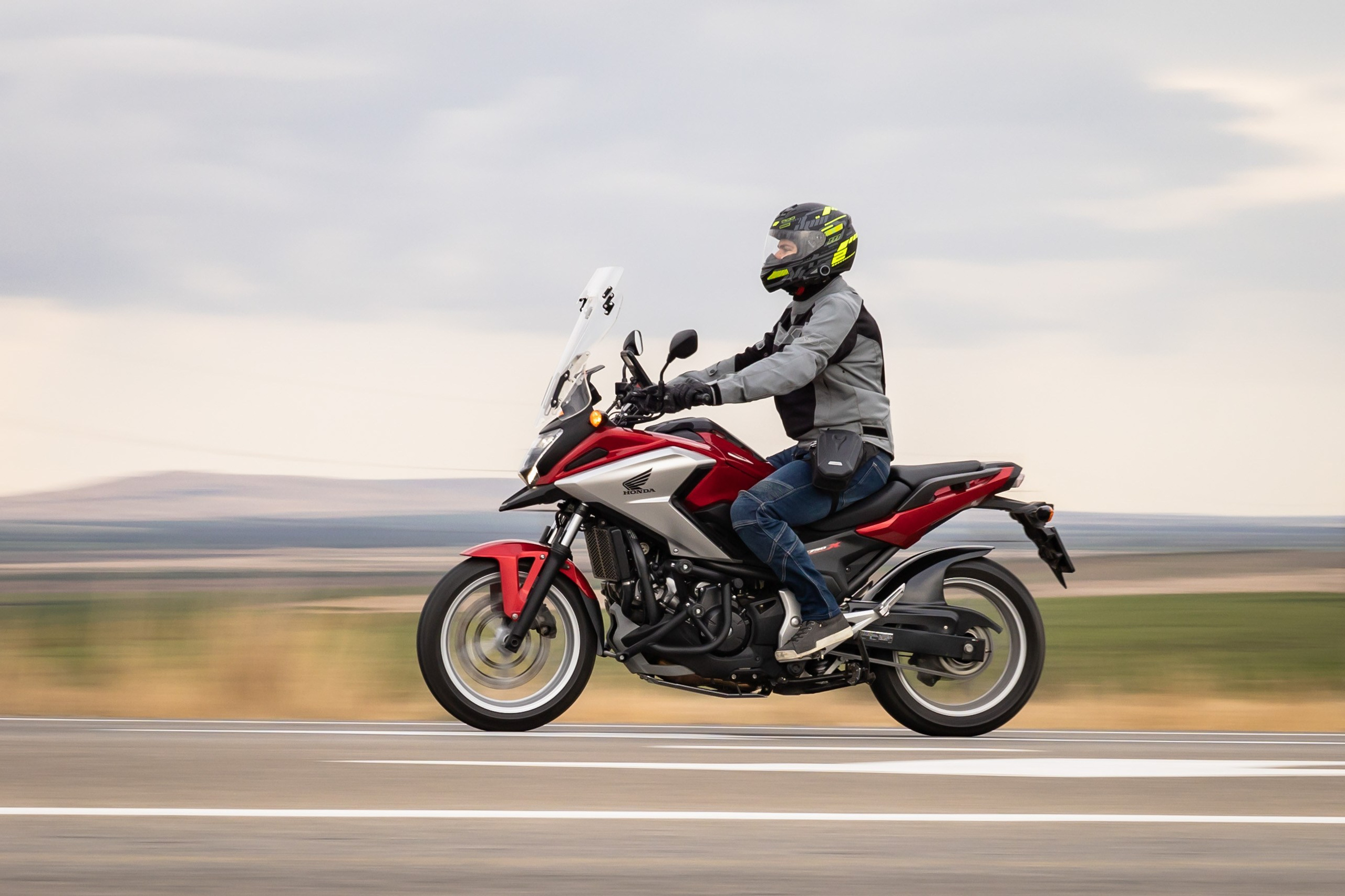 Южное Сафари в Тамани. Сентябрь 2024. Фотограф Владимир Охрименко