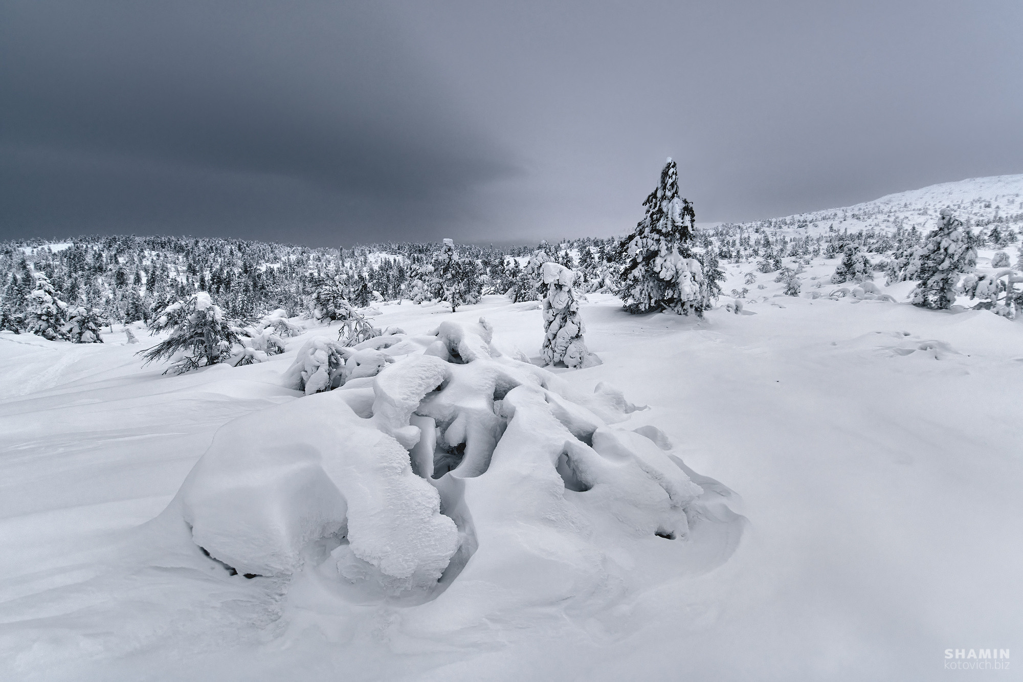 Пейзаж. Фотограф Константин Шамин