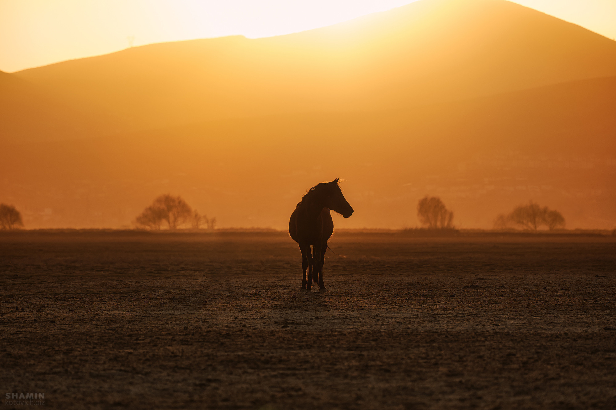 Пейзаж. Фотограф Константин Шамин