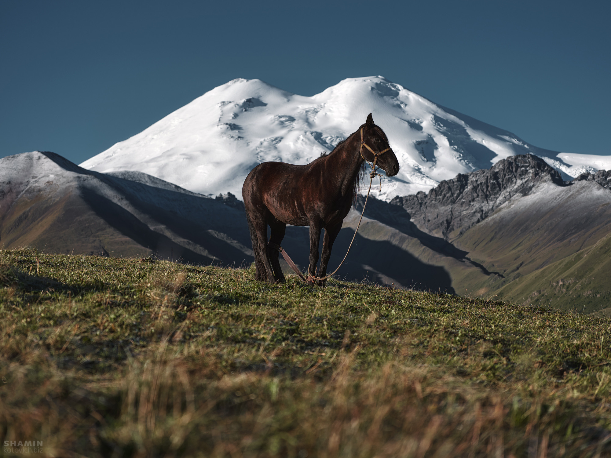 Пейзаж. Фотограф Константин Шамин