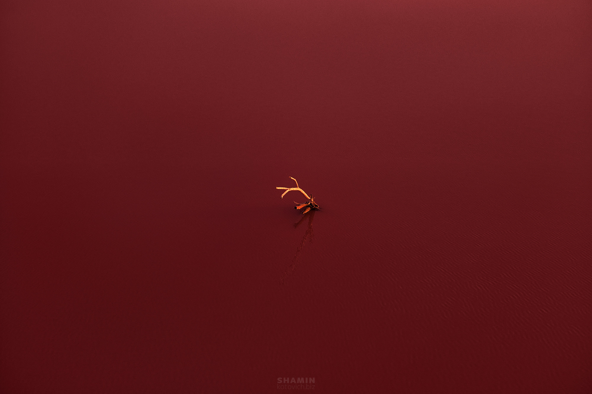 Пейзаж. Фотограф Константин Шамин