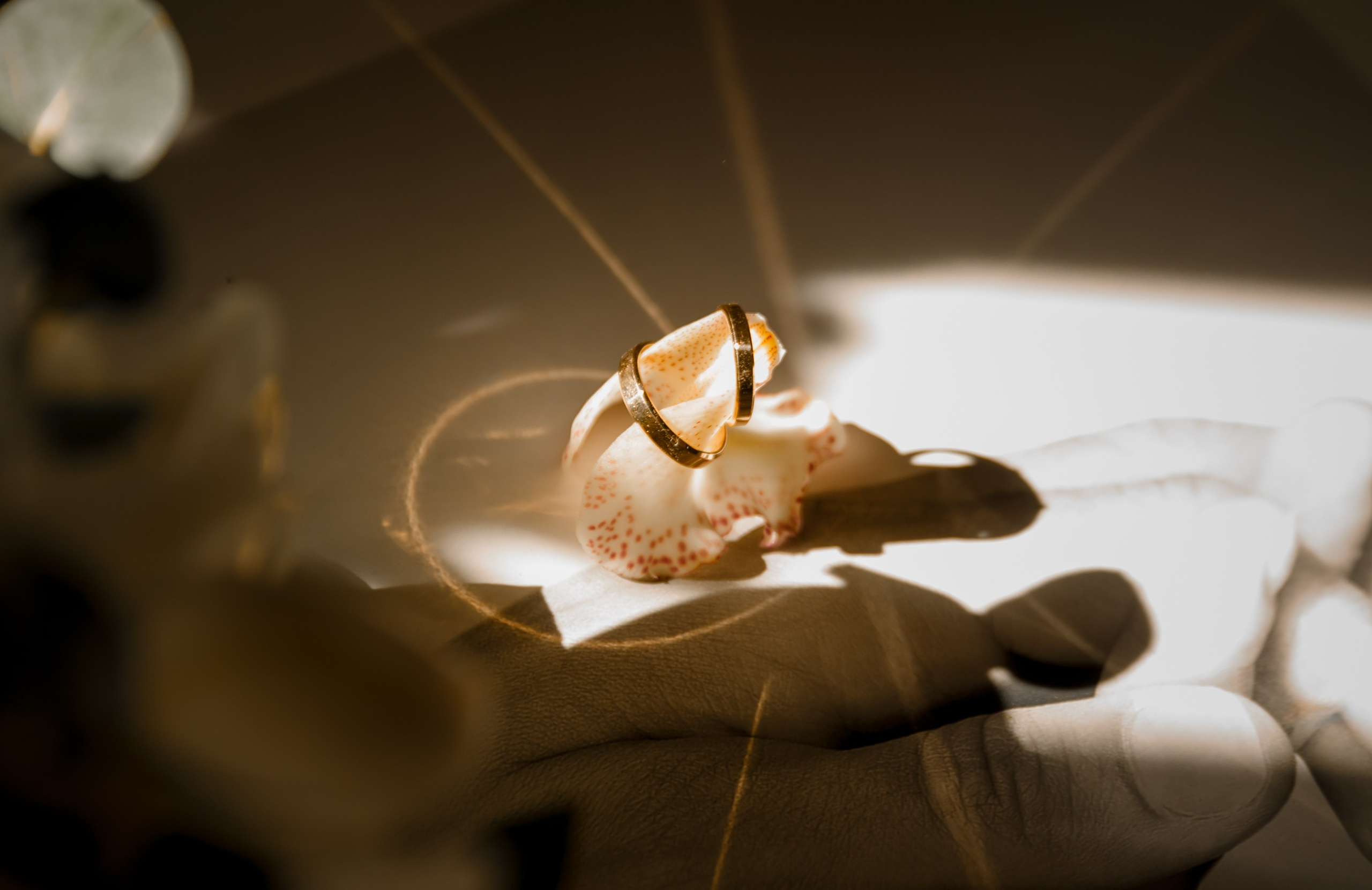 Олег и Даша. Ваш фотограф Любовь Чистякова