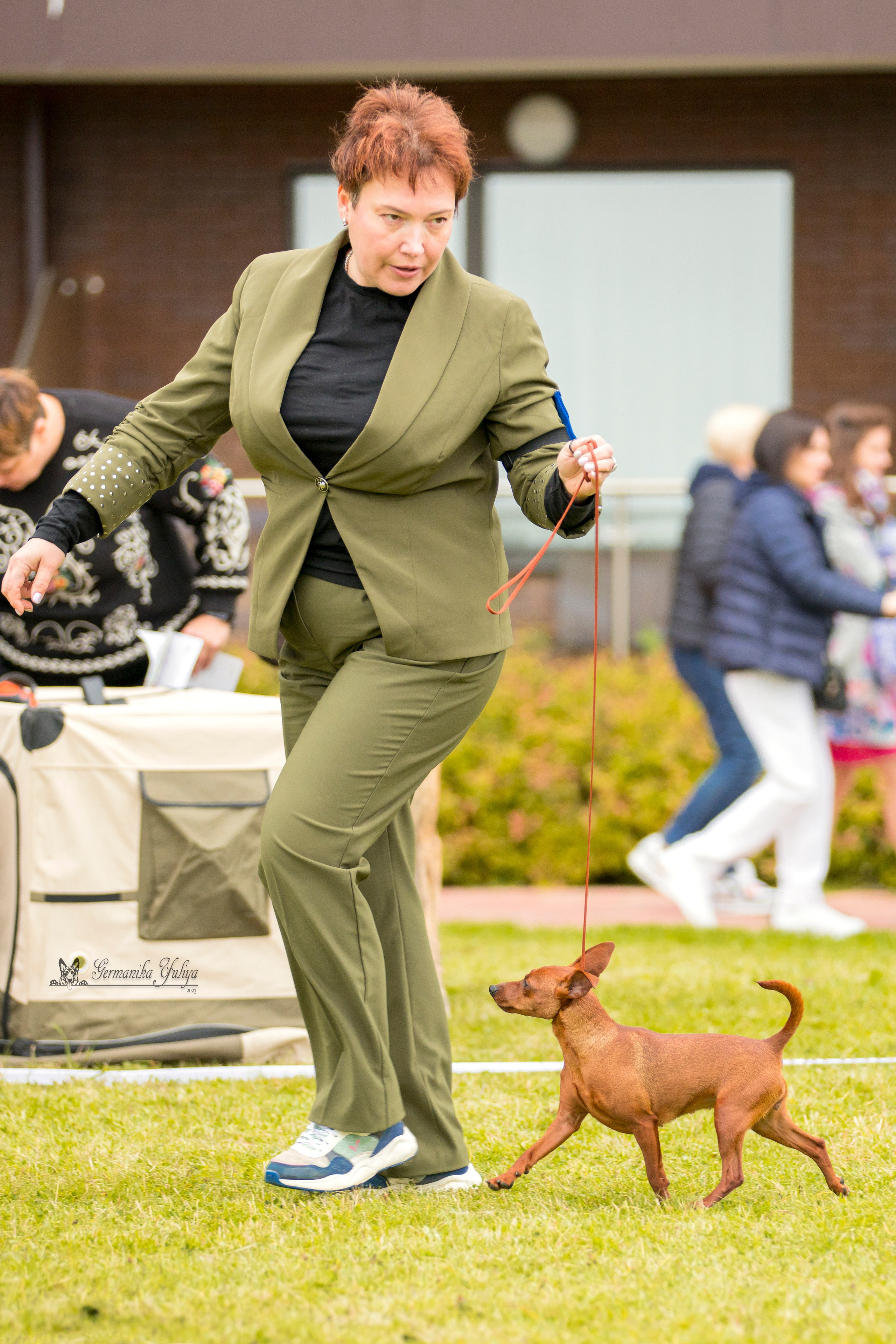 Переславль 9-10.09.2023. Фотограф-анималист Юлия Германика